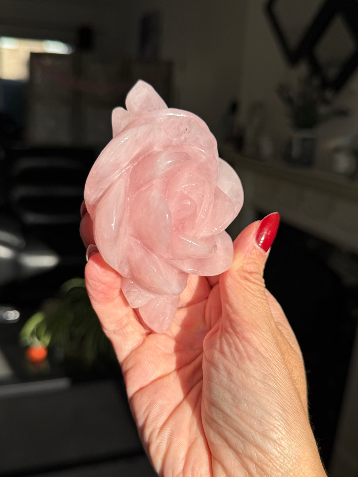 Rose Quartz Rose