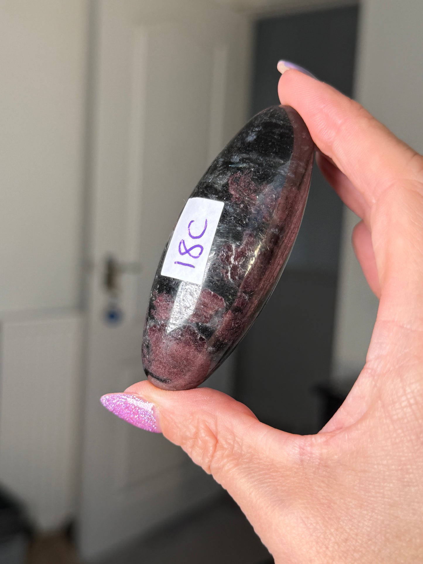 Garnet & Arfvedsonite Shiva