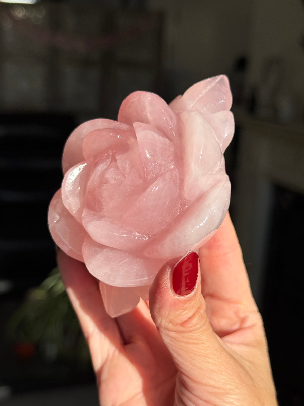 Rose Quartz Rose