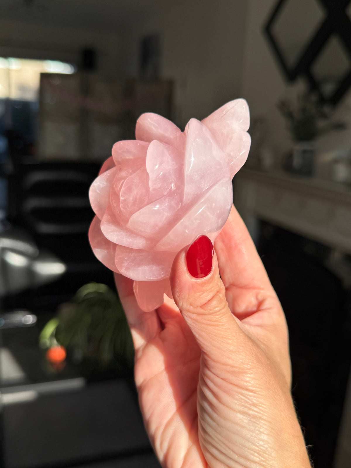 Rose Quartz Rose