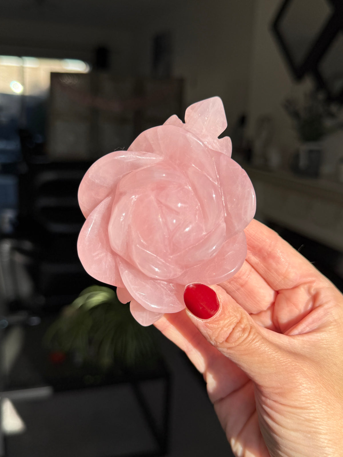 Rose Quartz Rose