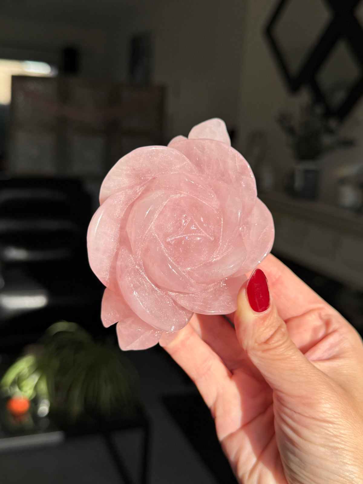 Rose Quartz Rose