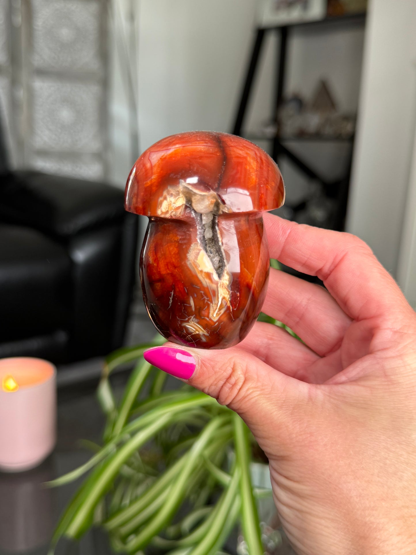 Carnelian Mushroom