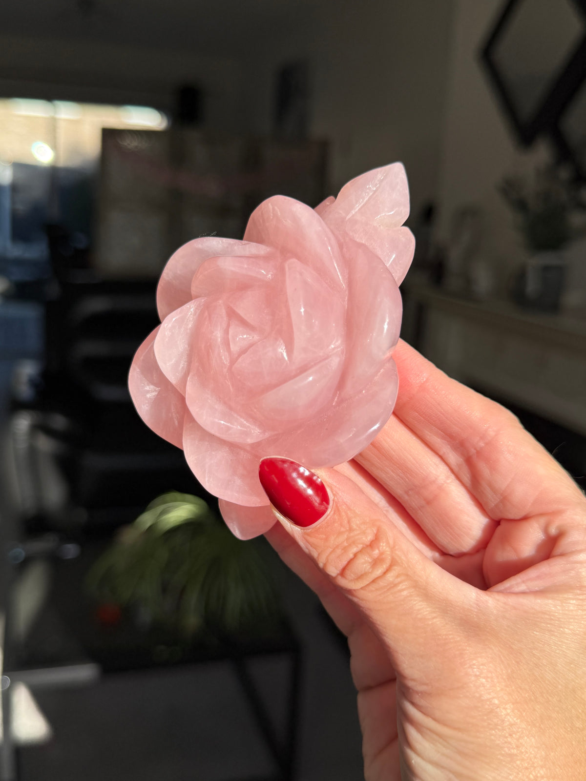 Rose Quartz Rose