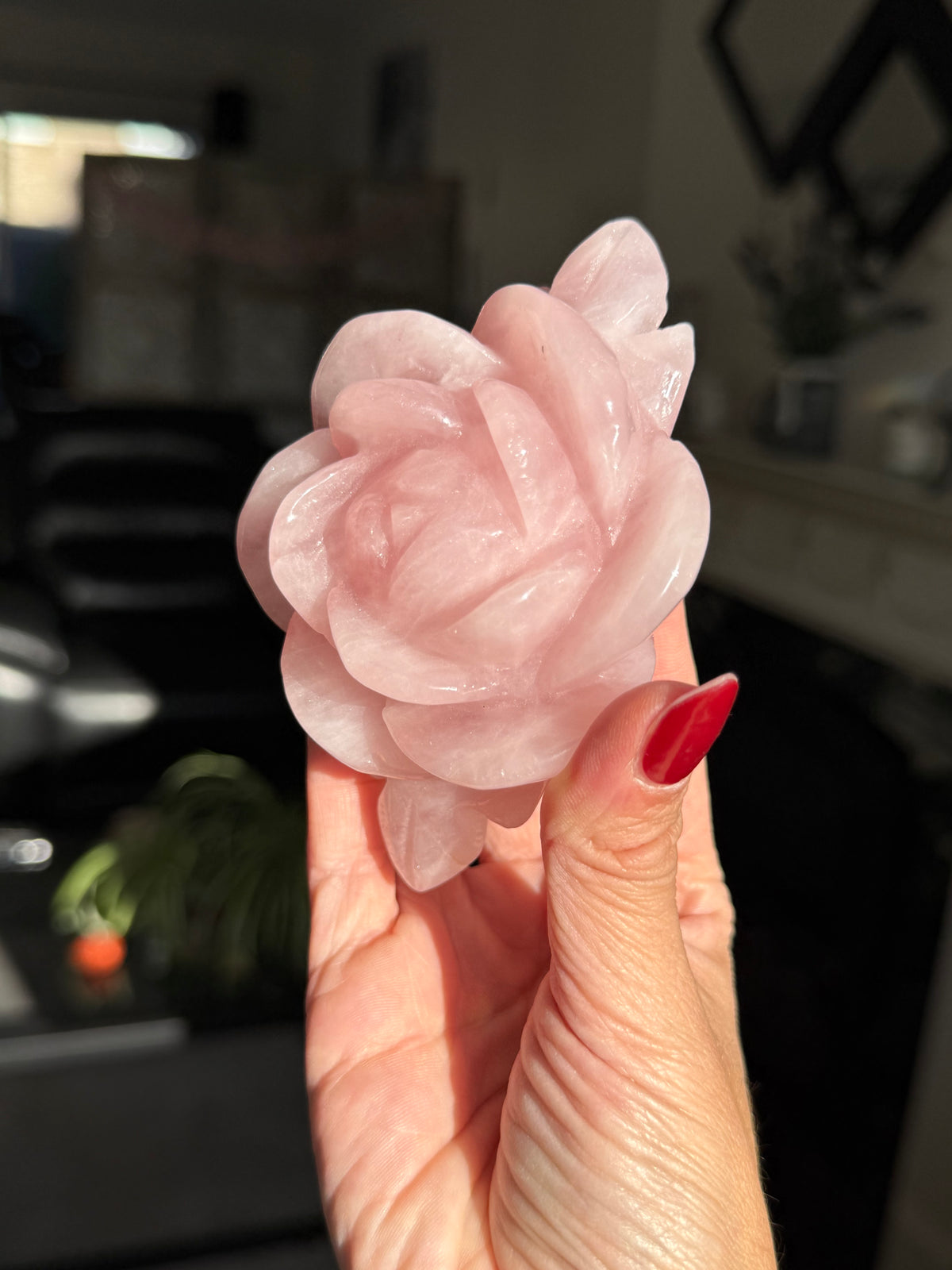 Rose Quartz Rose