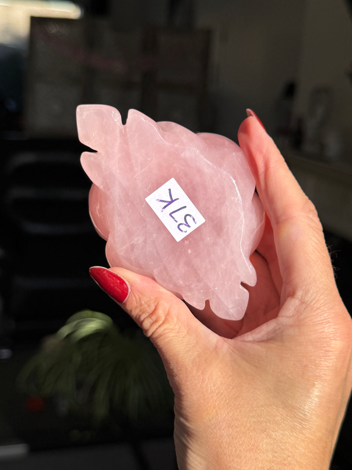 Rose Quartz Rose