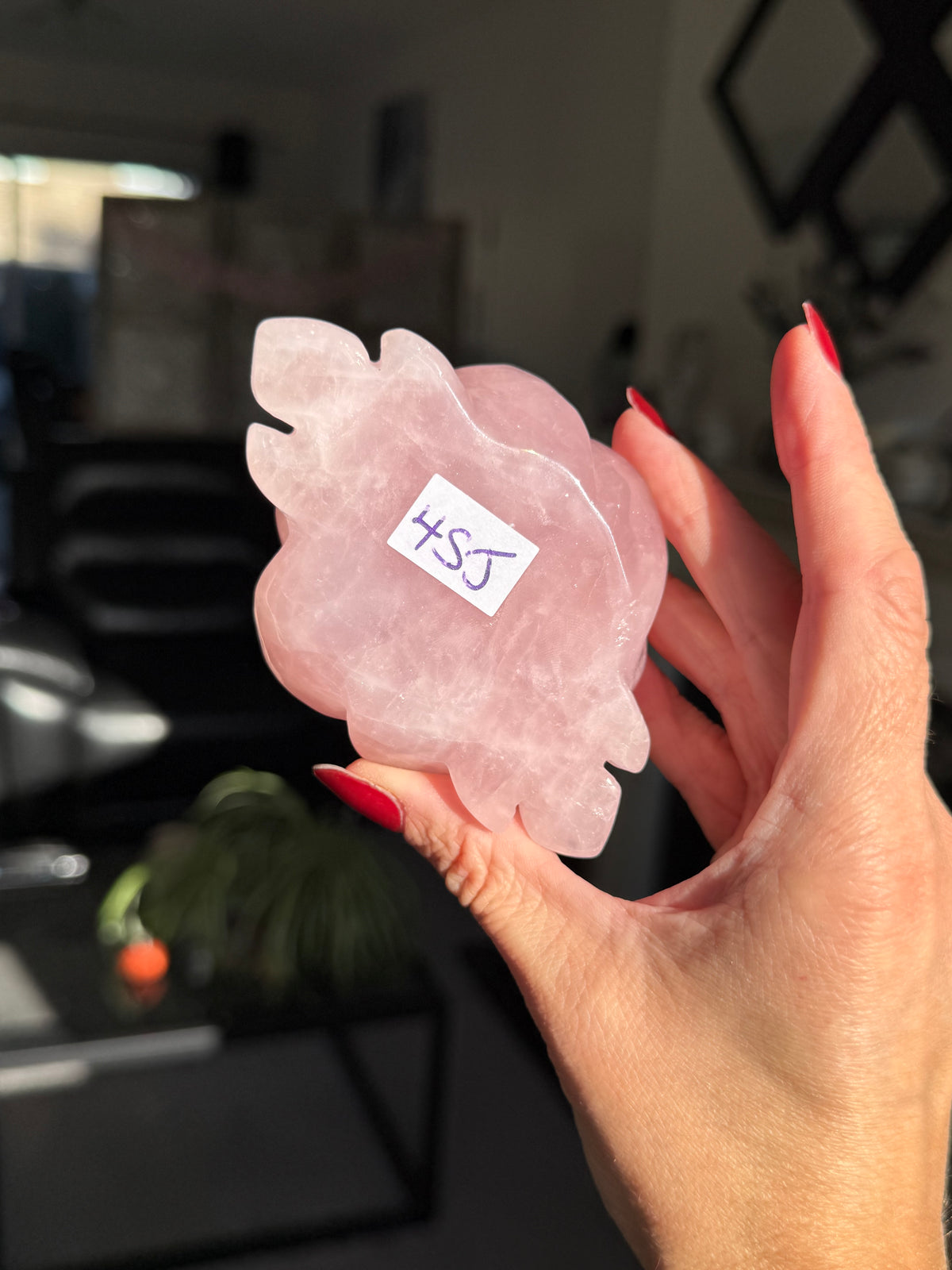 Rose Quartz Rose