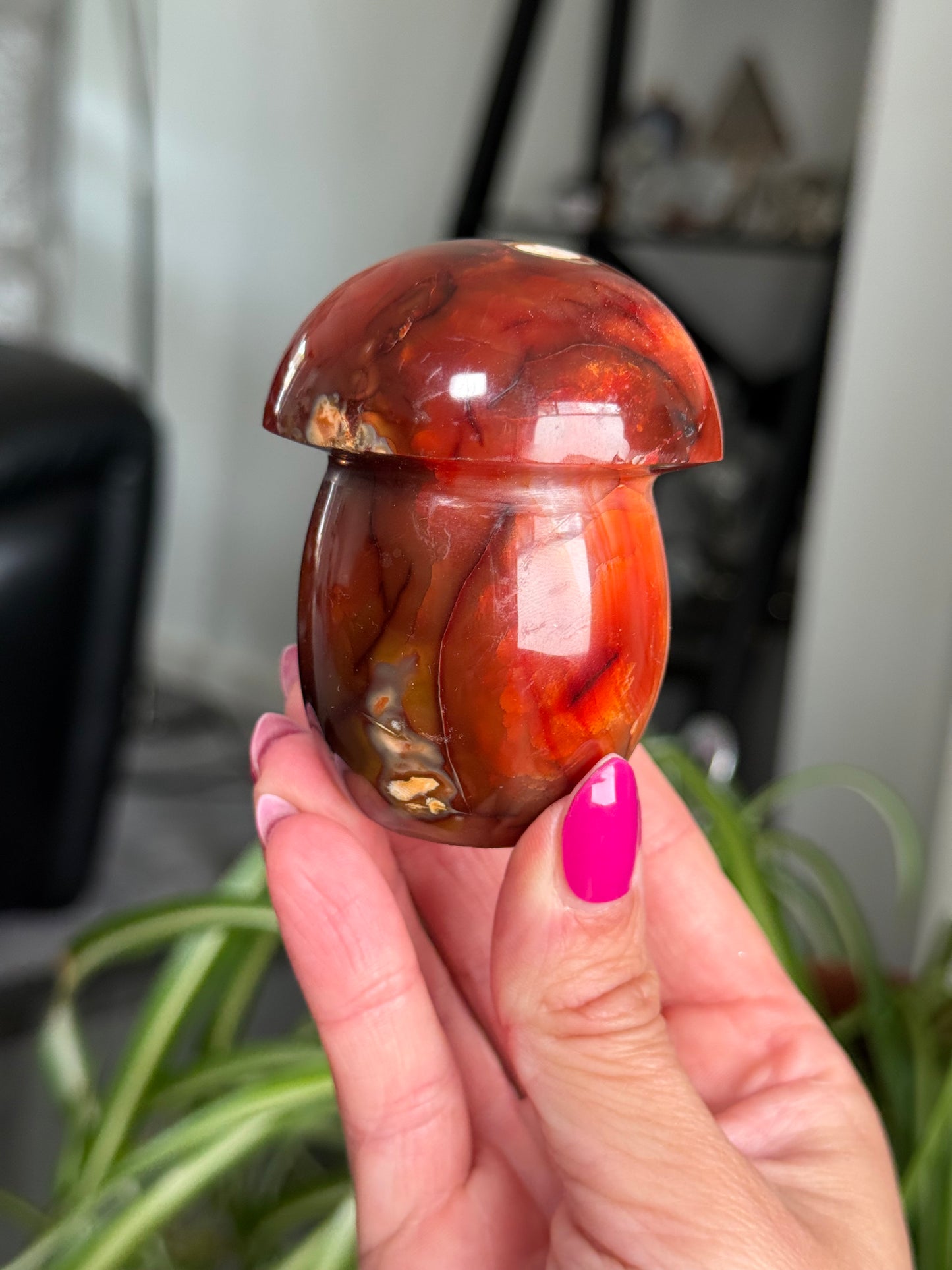 Carnelian Mushroom