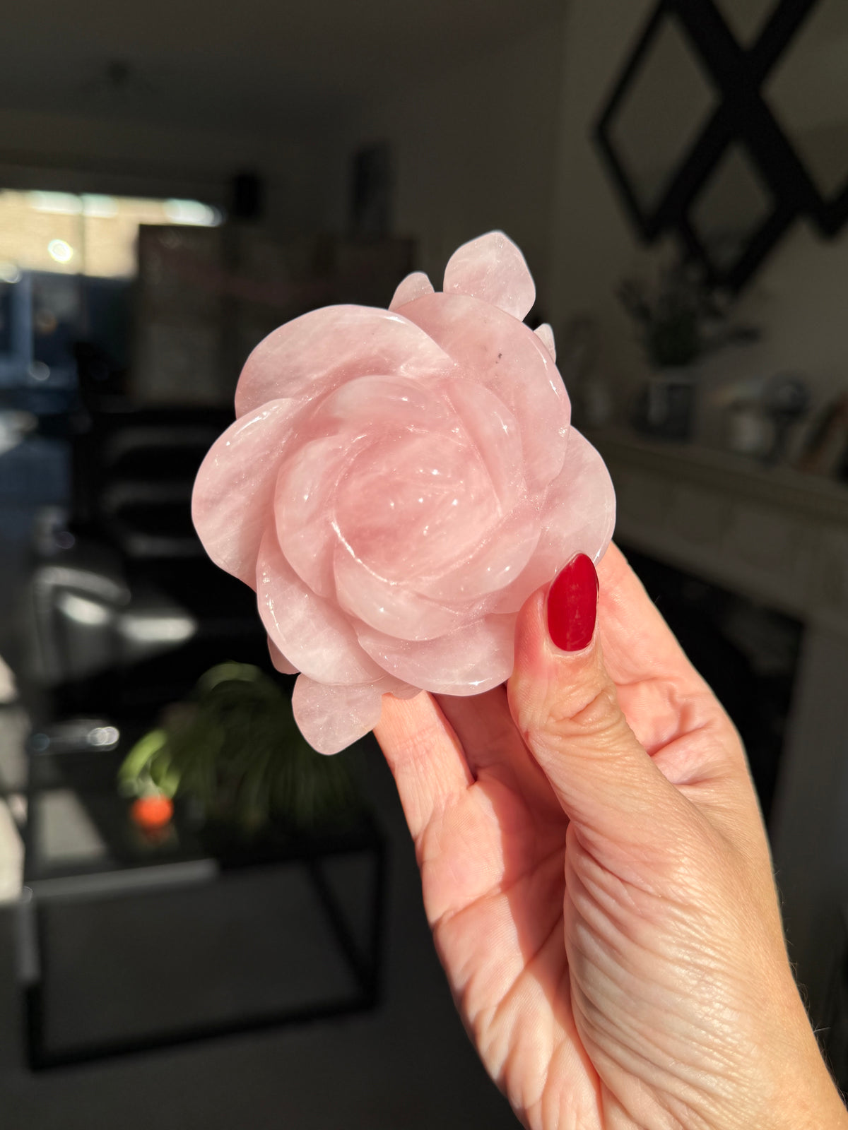 Rose Quartz Rose