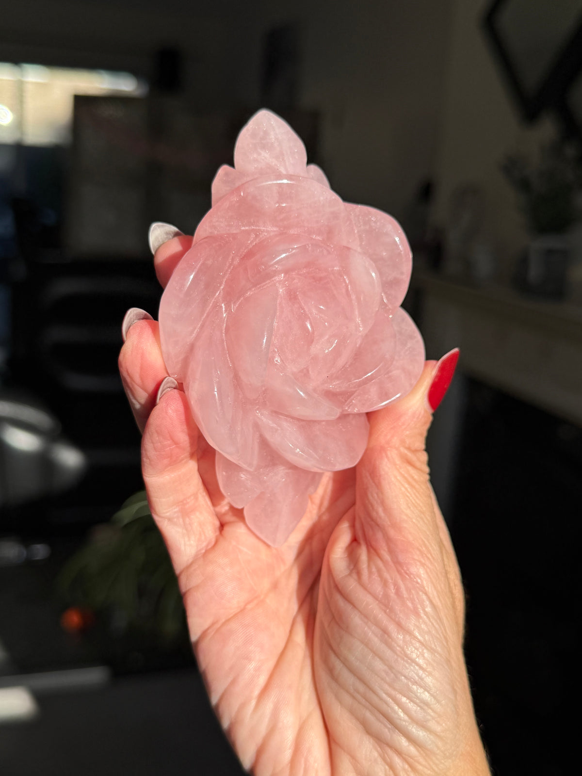 Rose Quartz Rose