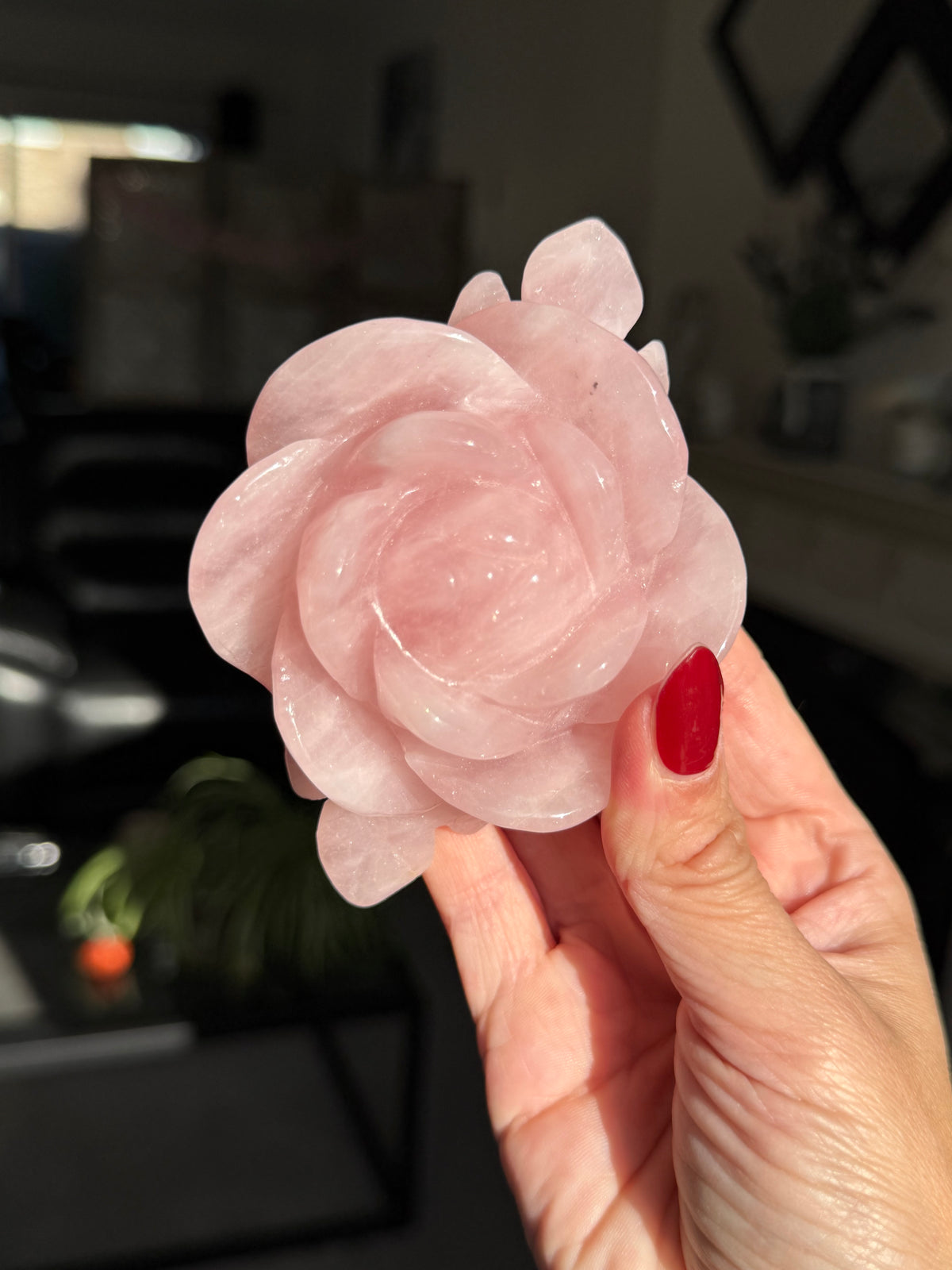 Rose Quartz Rose