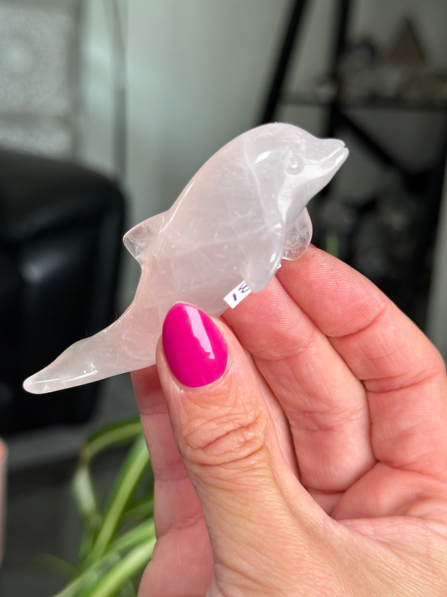 Rose Quartz Dolphin