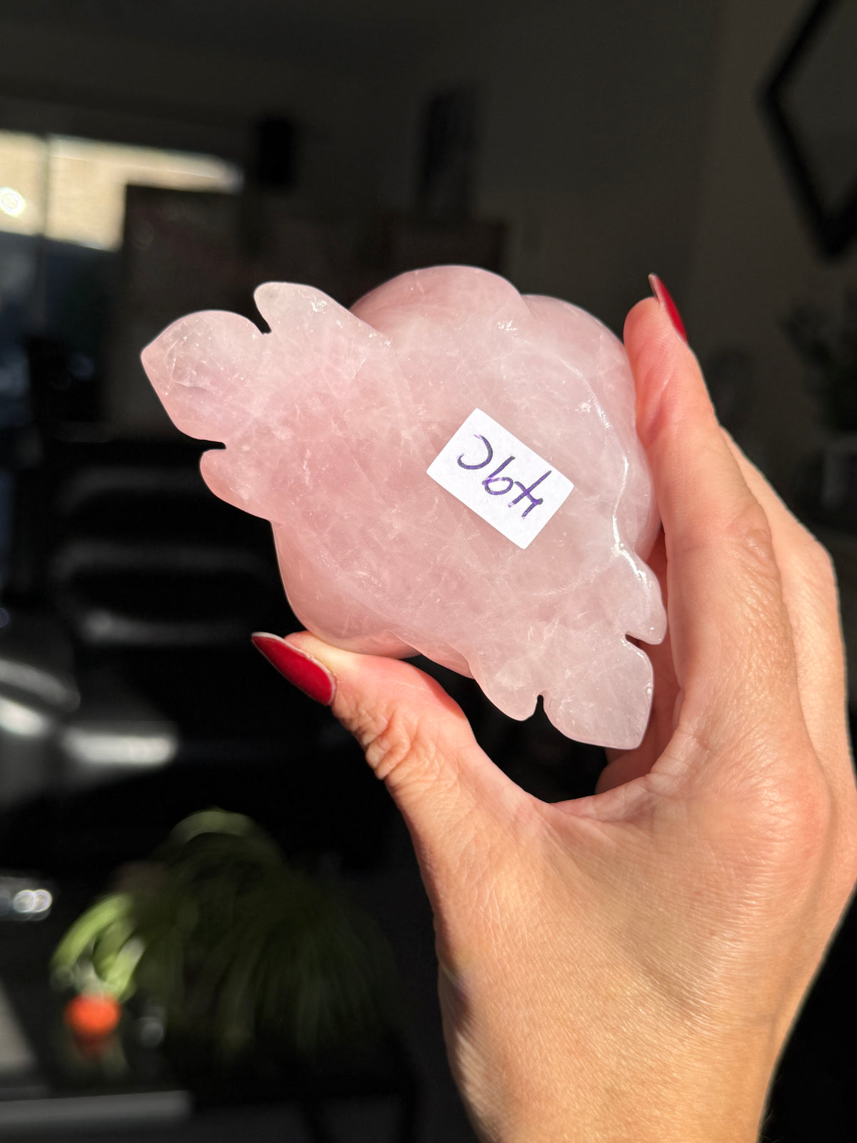 Rose Quartz Rose