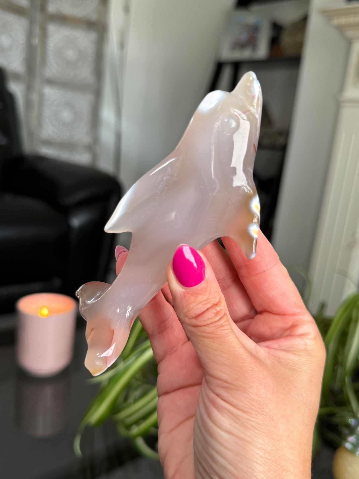 Agate Dolphin