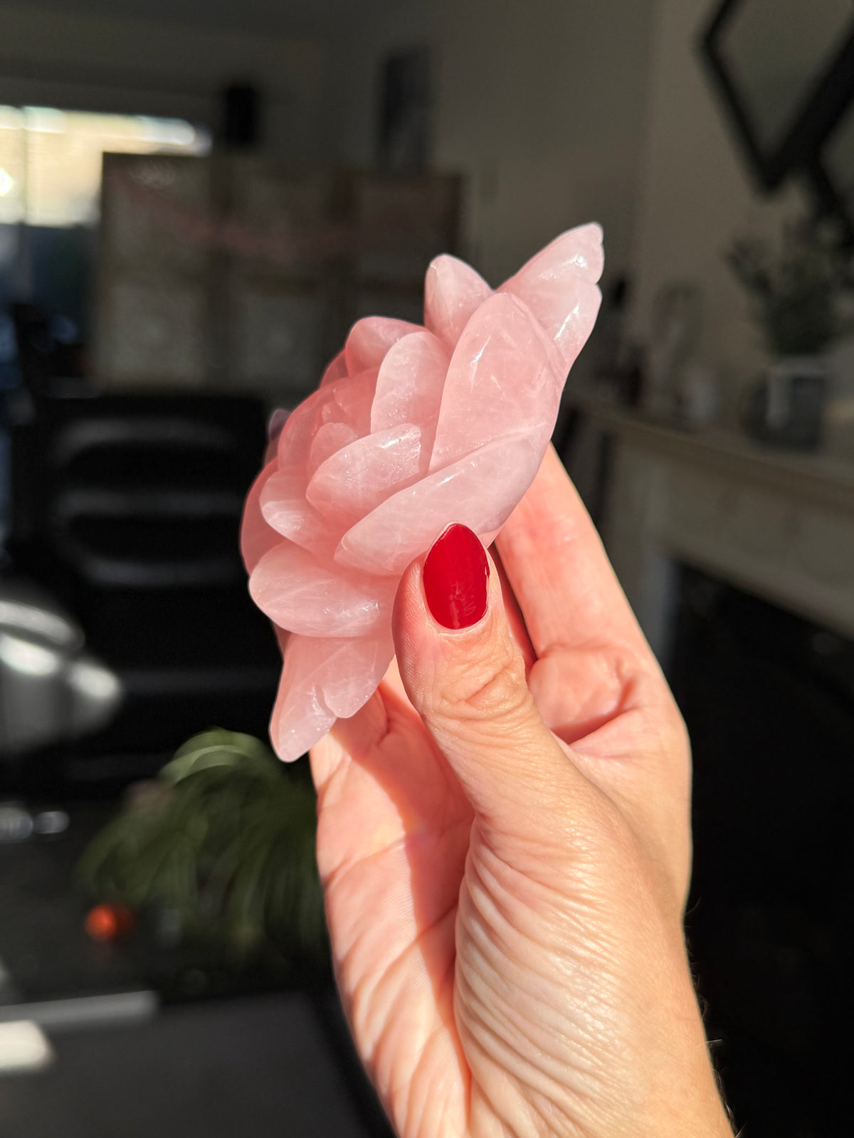 Rose Quartz Rose