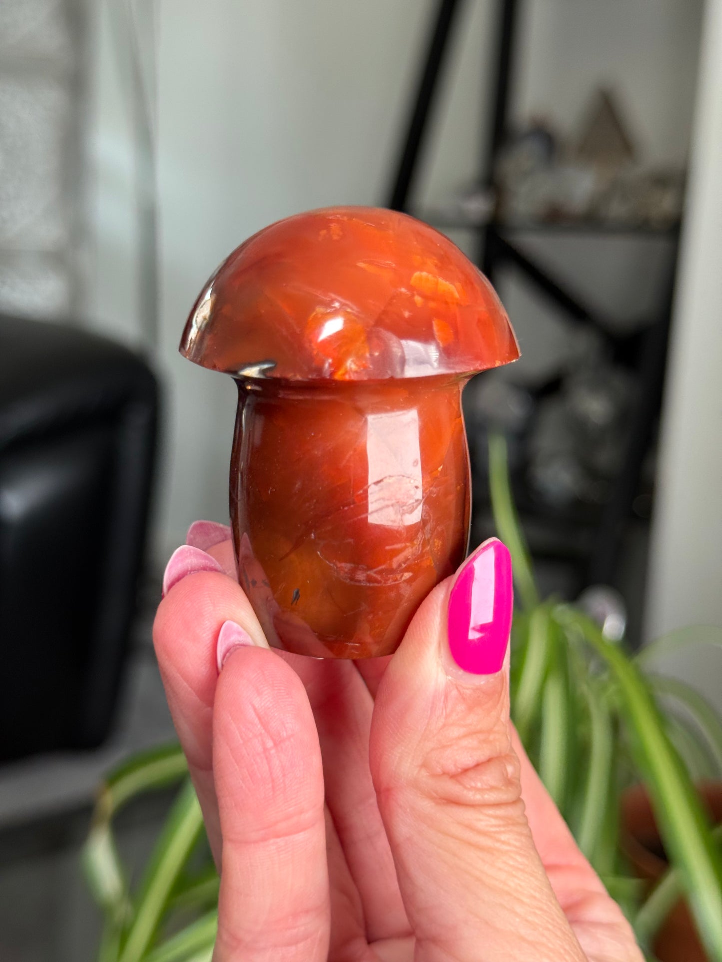 Carnelian Mushroom