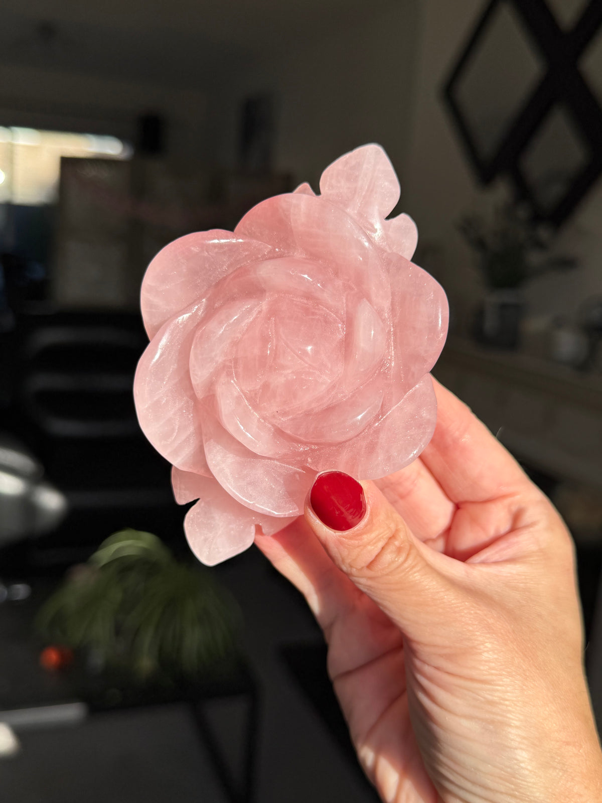 Rose Quartz Rose