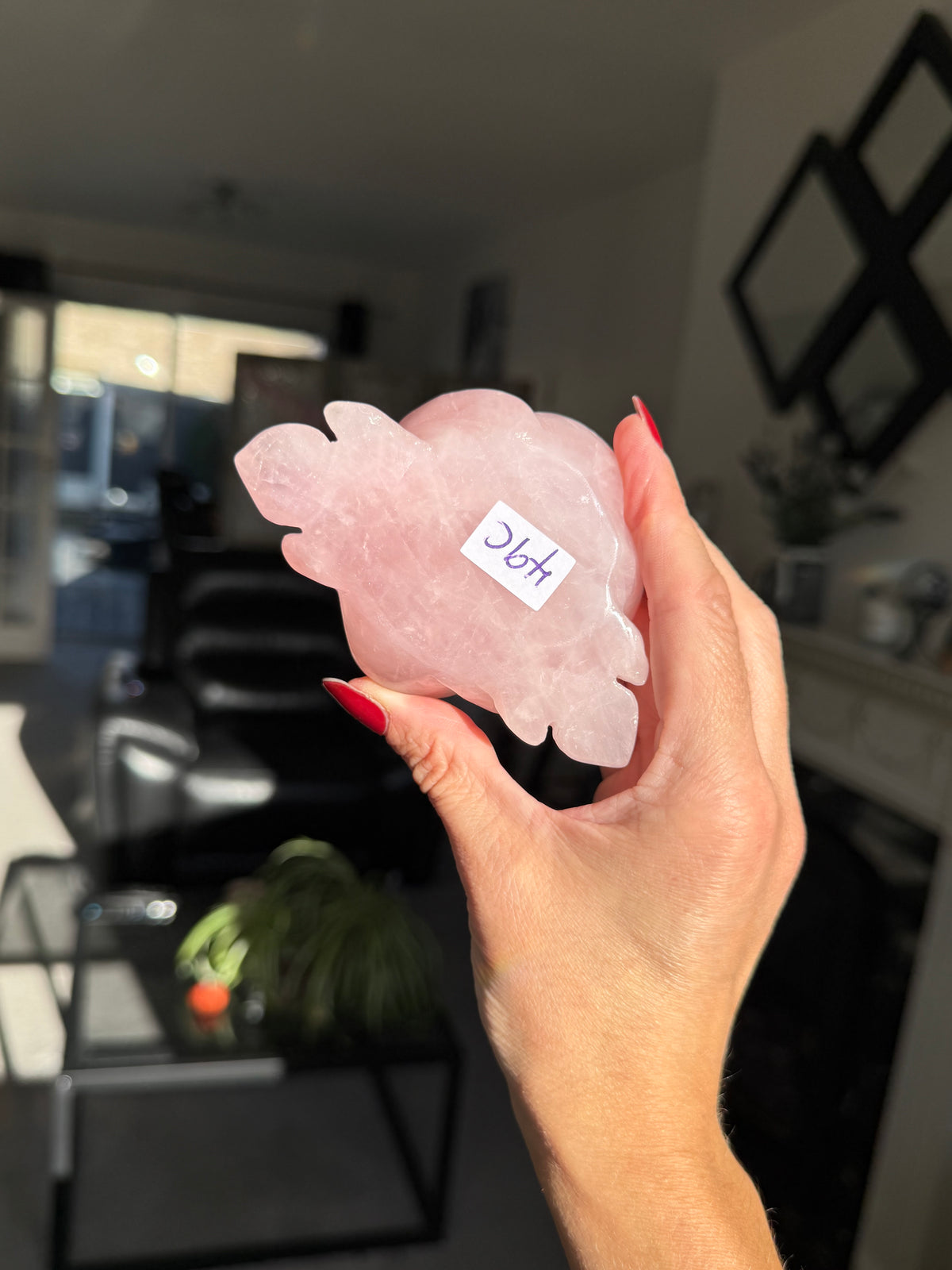 Rose Quartz Rose
