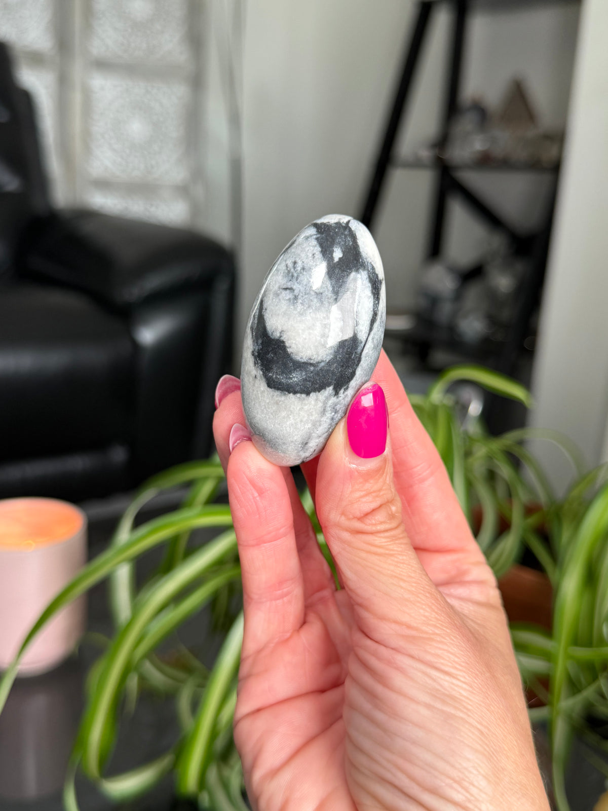 Penguin Jasper Shivas