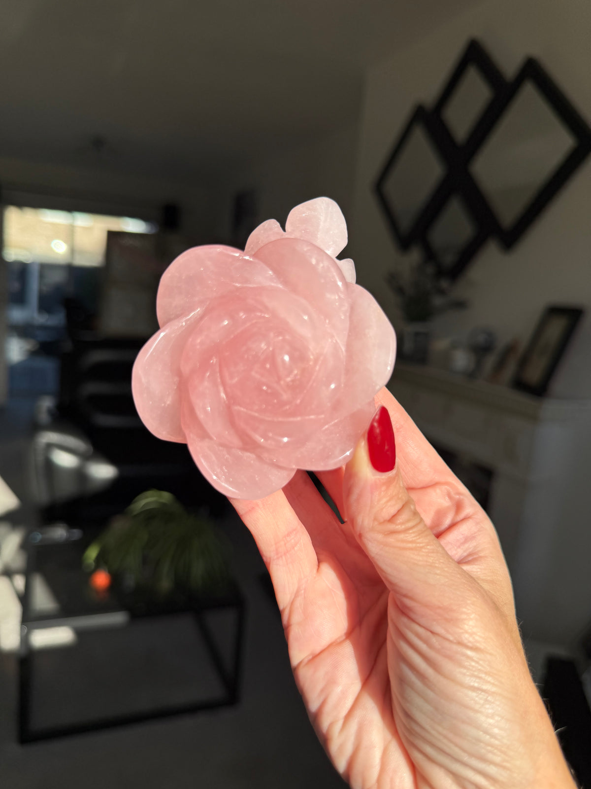 Rose Quartz Rose