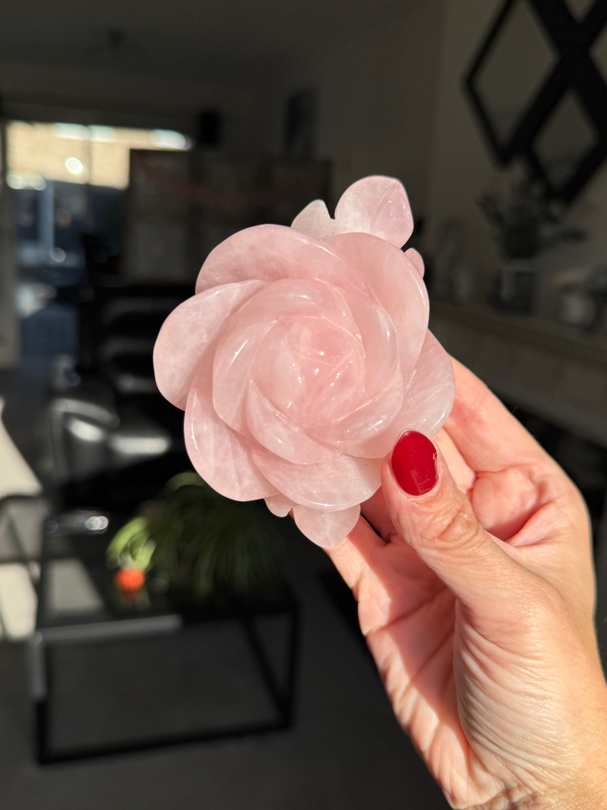 Rose Quartz Rose