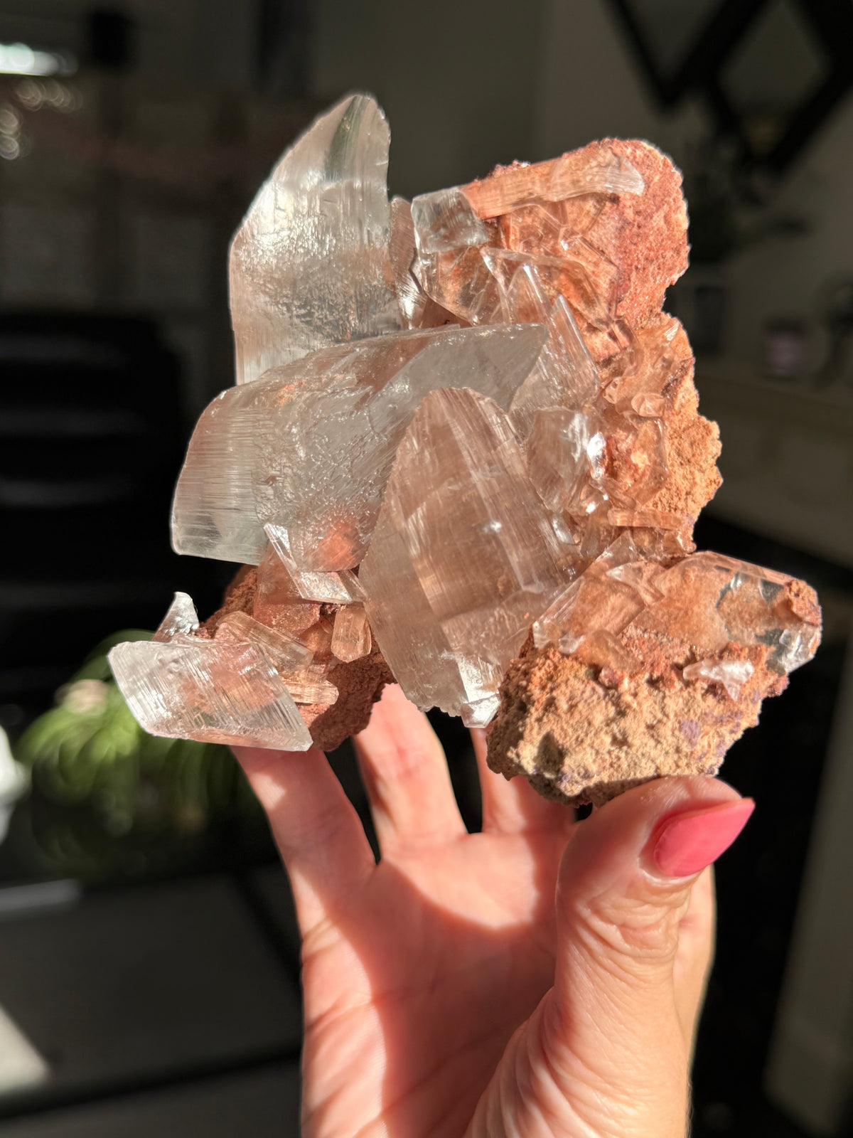 Self Standing Naica Selenite Collectors Piece
