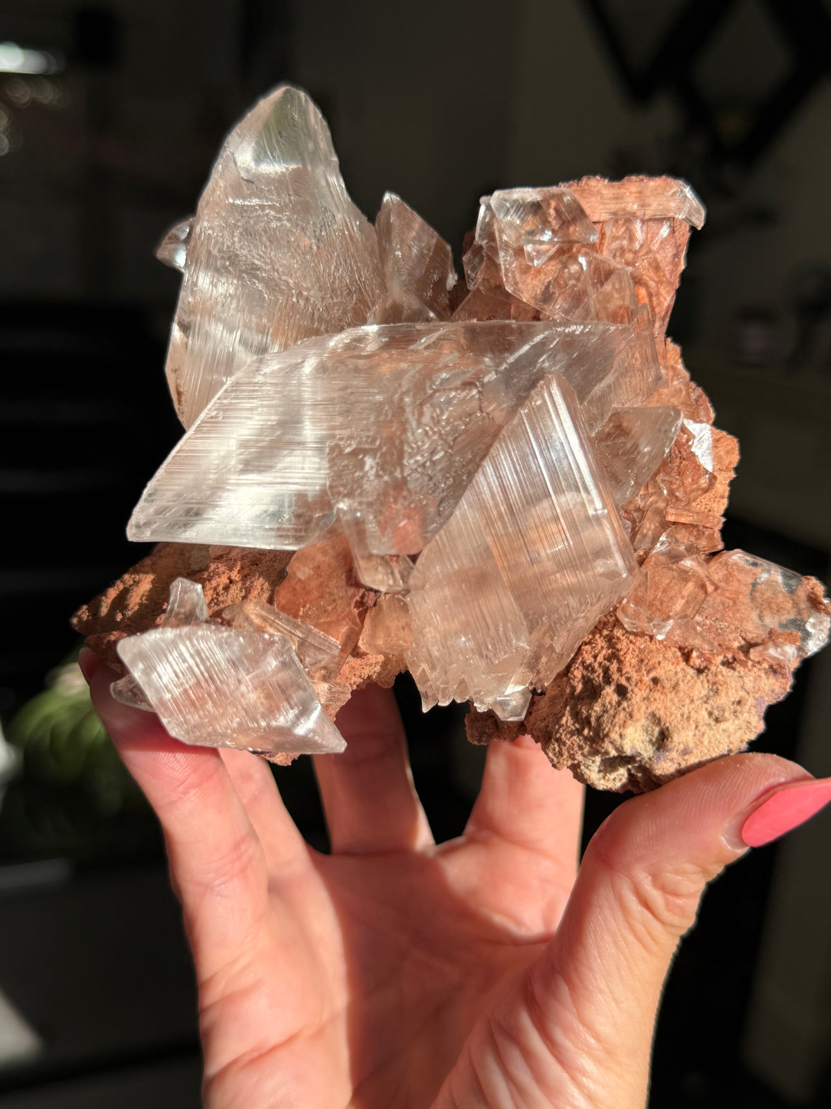 Self Standing Naica Selenite Collectors Piece