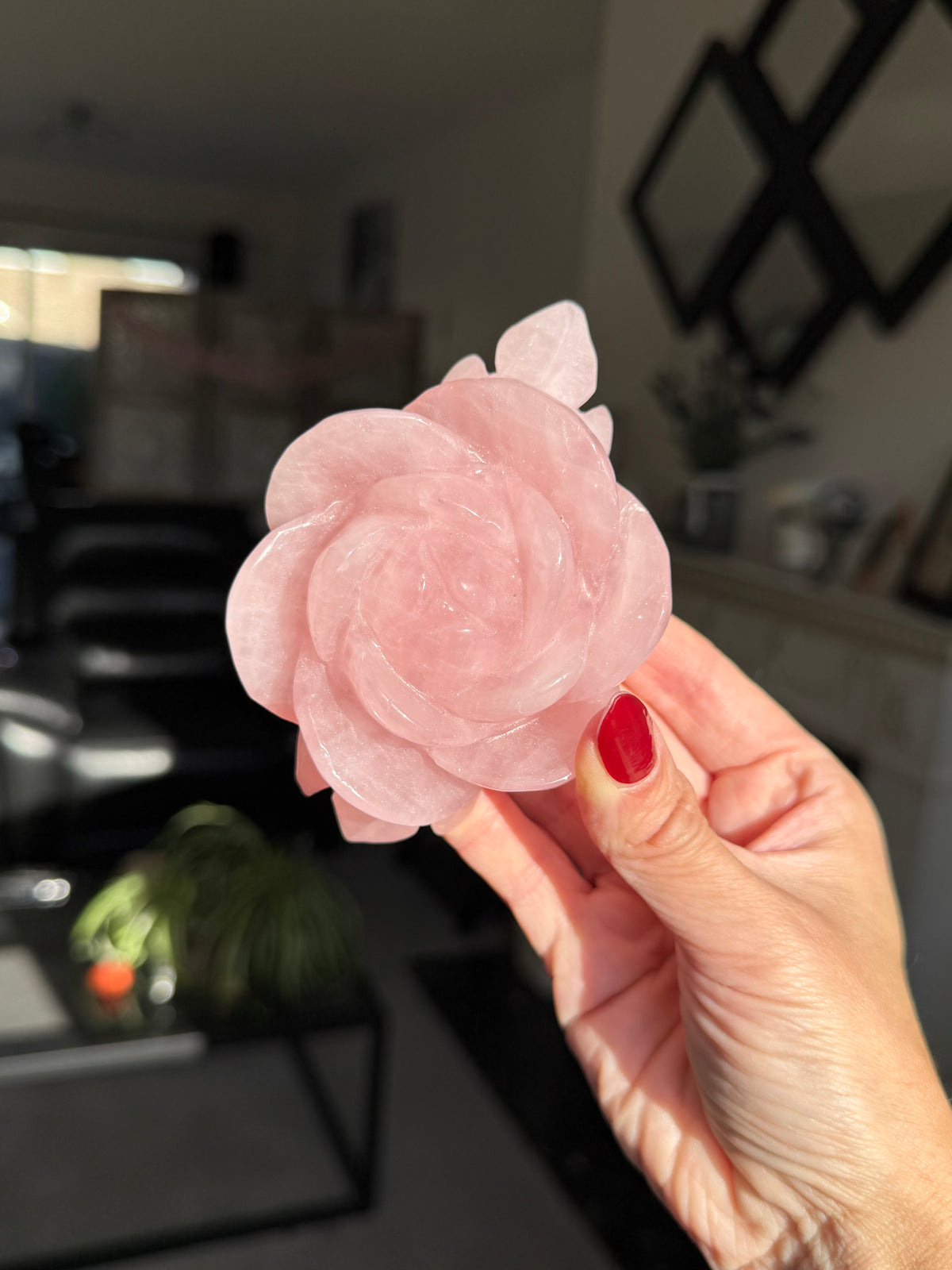 Rose Quartz Rose