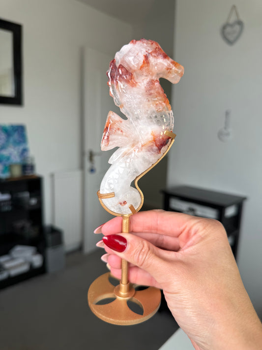 Fire Quartz Seahorse On Gold Stand