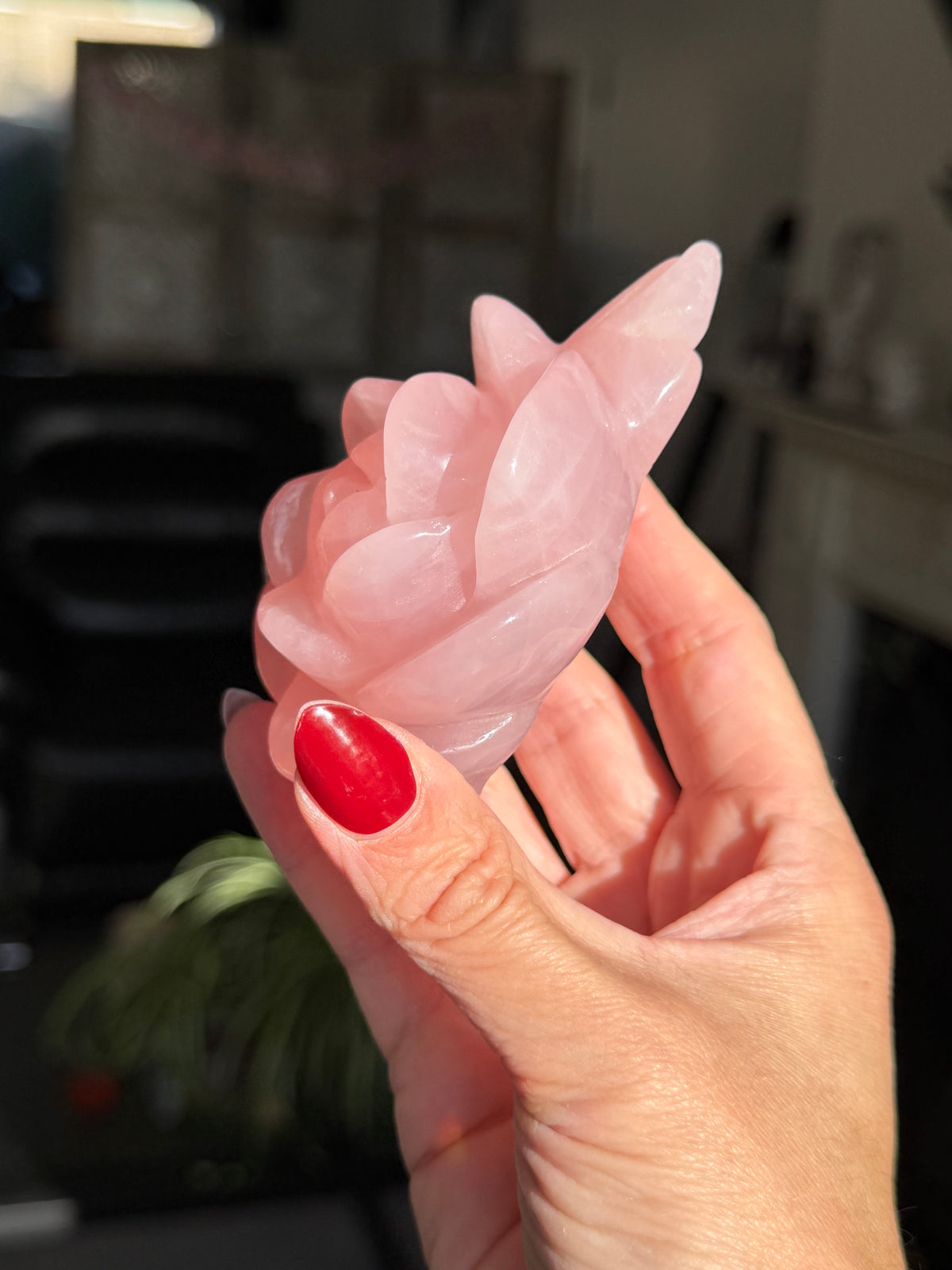 Rose Quartz Rose