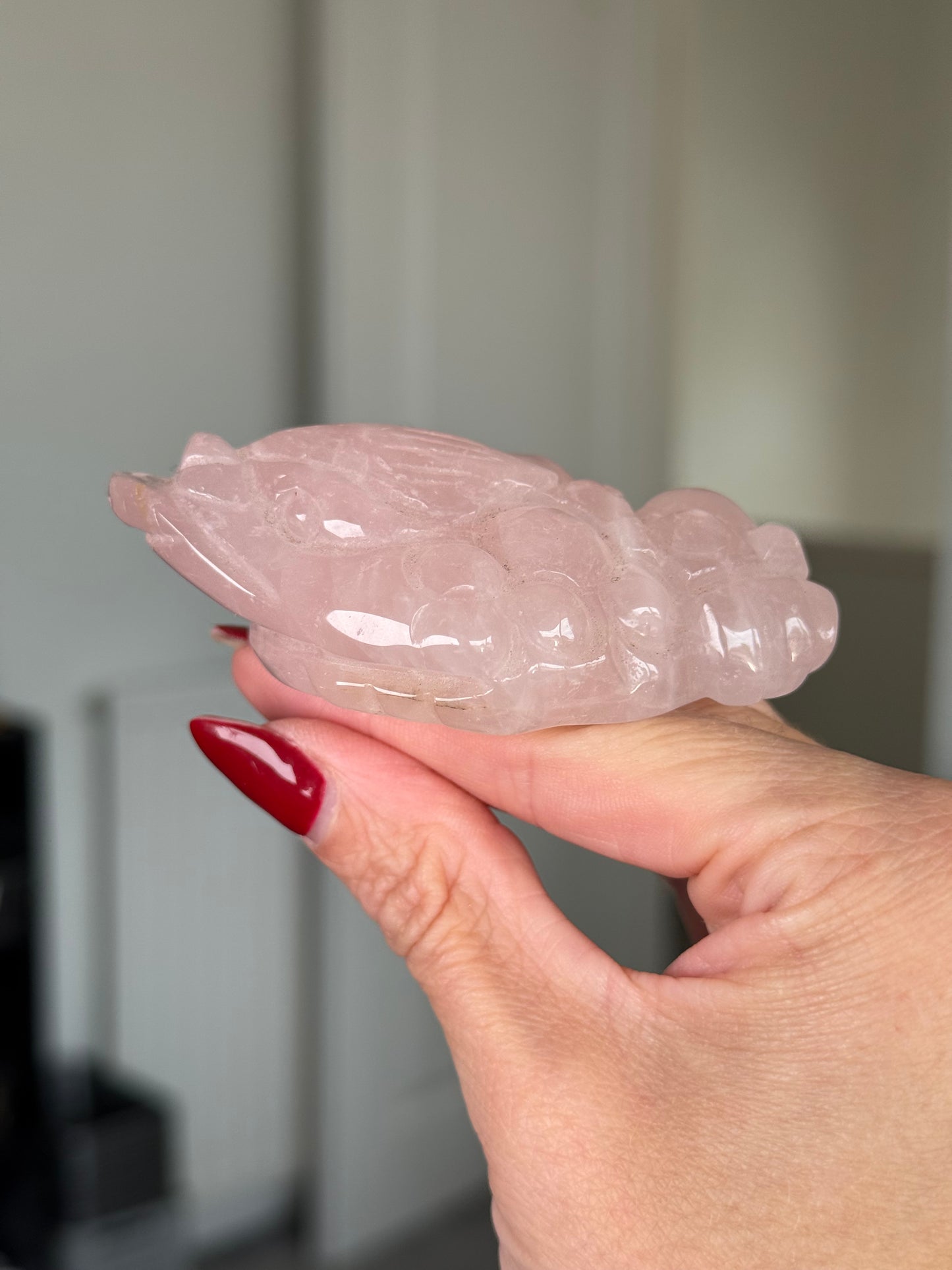 Rose Quartz Money Frog - Intuitively Chosen