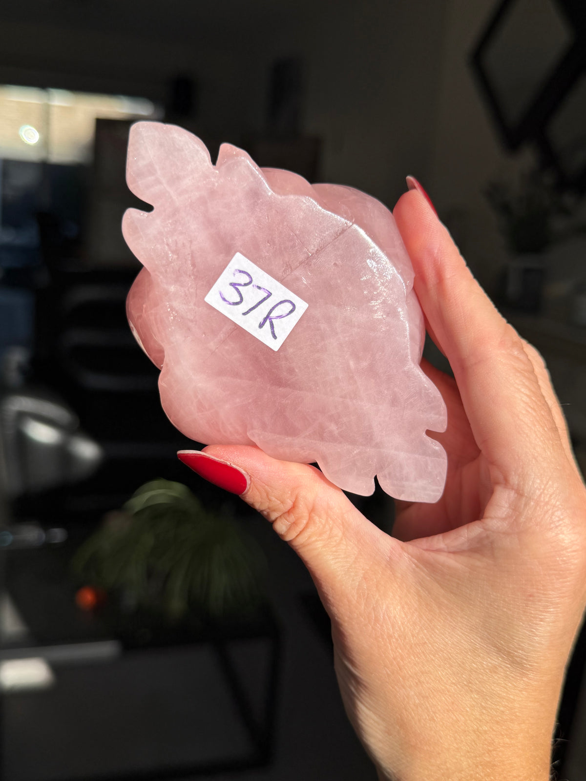 Rose Quartz Rose