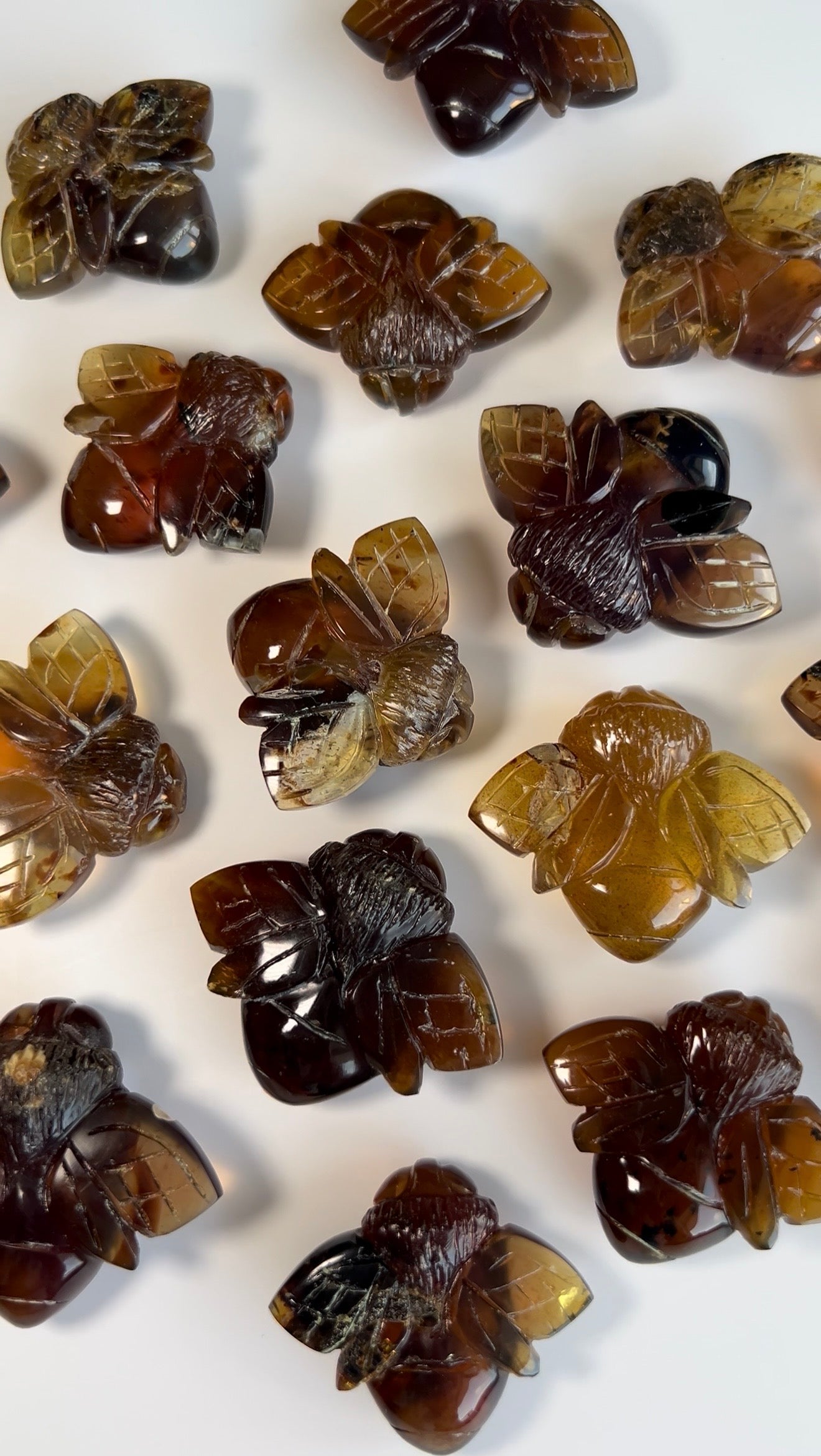 Amber Bees