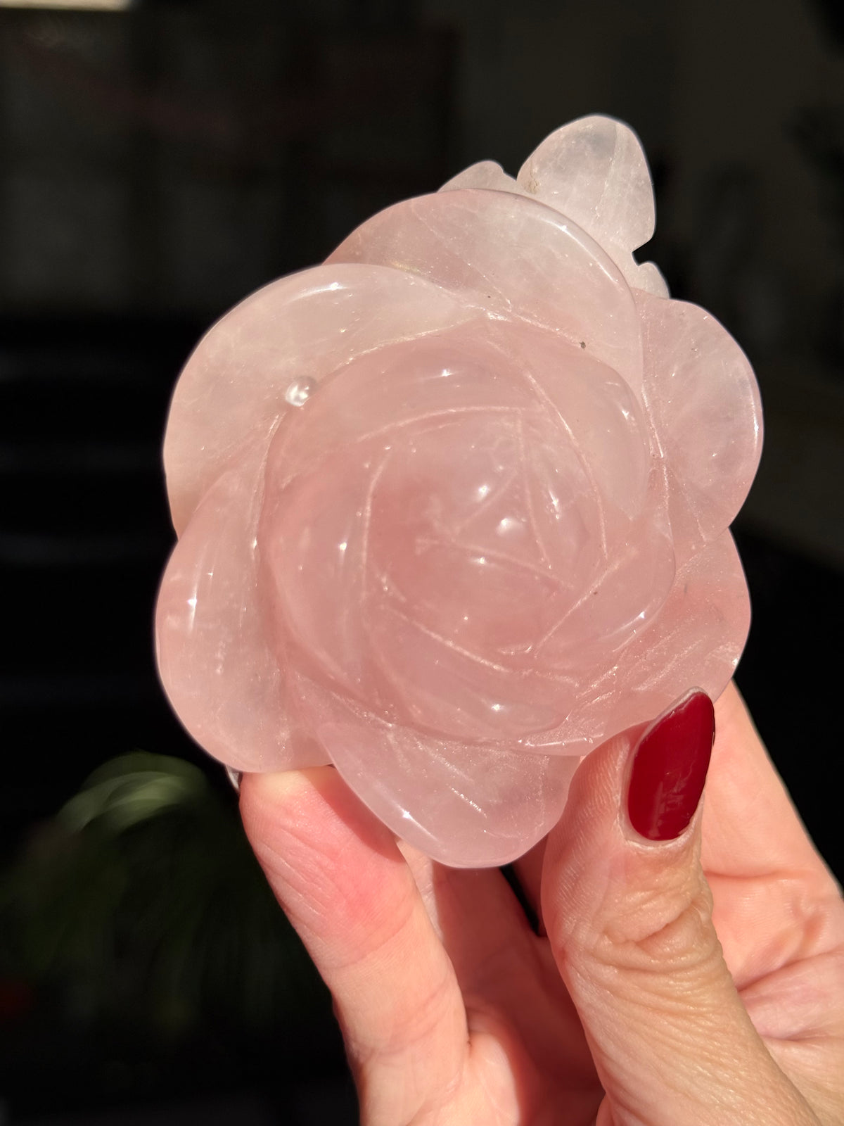 Rose Quartz Rose With Raindrop