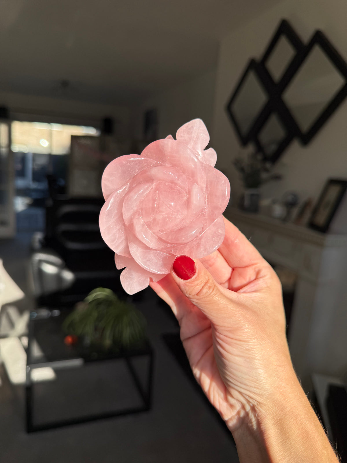 Rose Quartz Rose
