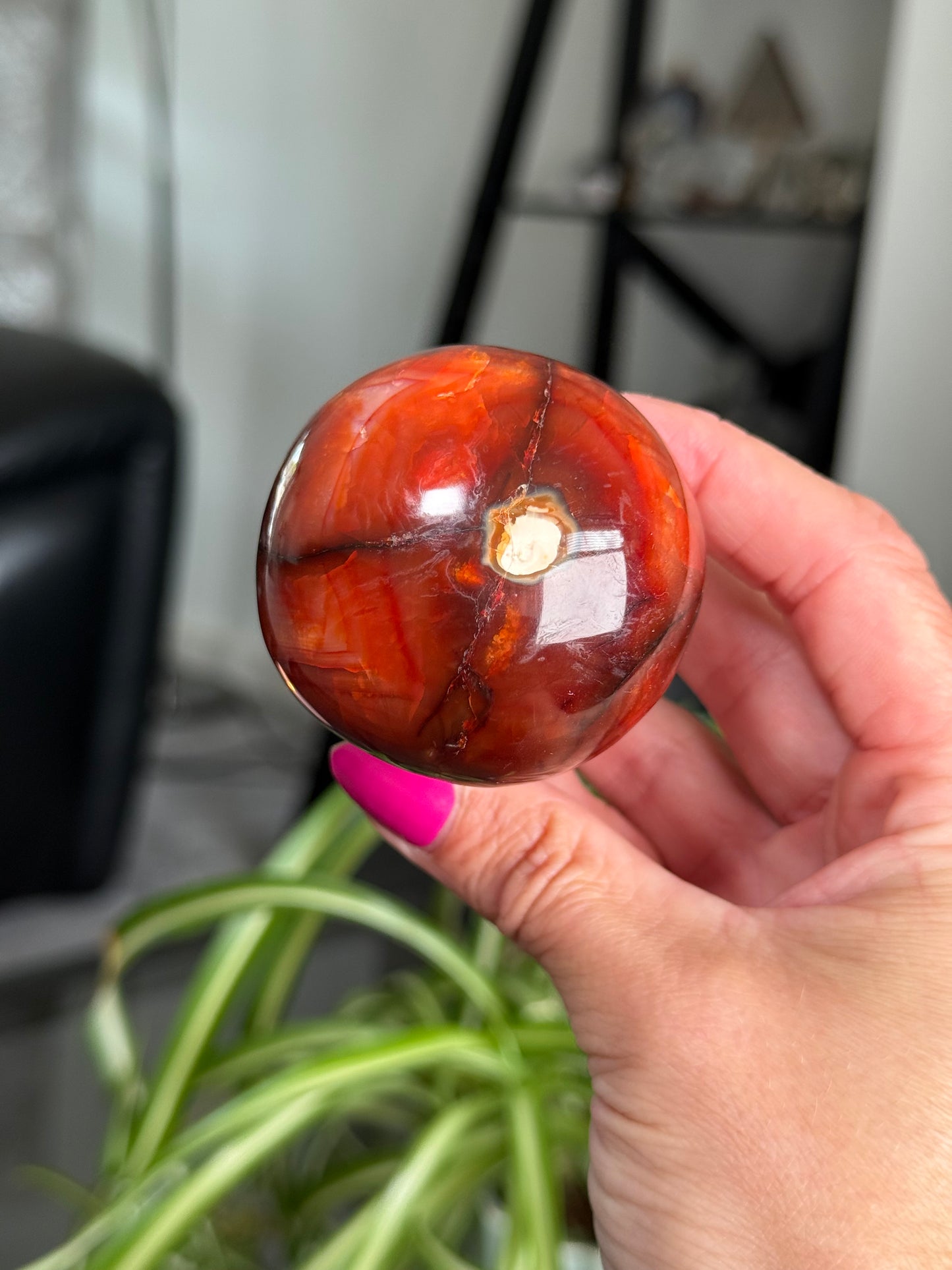 Carnelian Mushroom