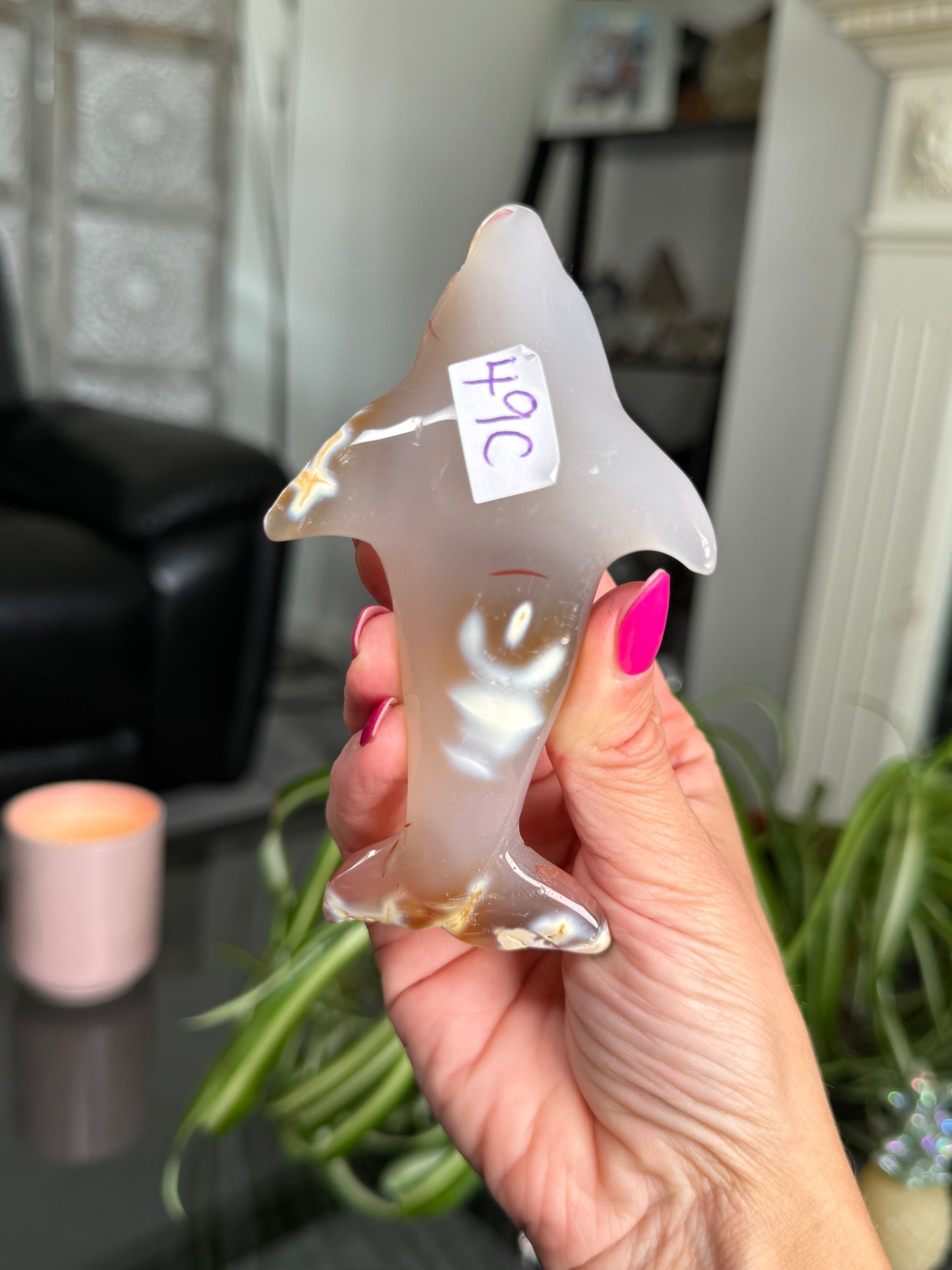 Agate Dolphin