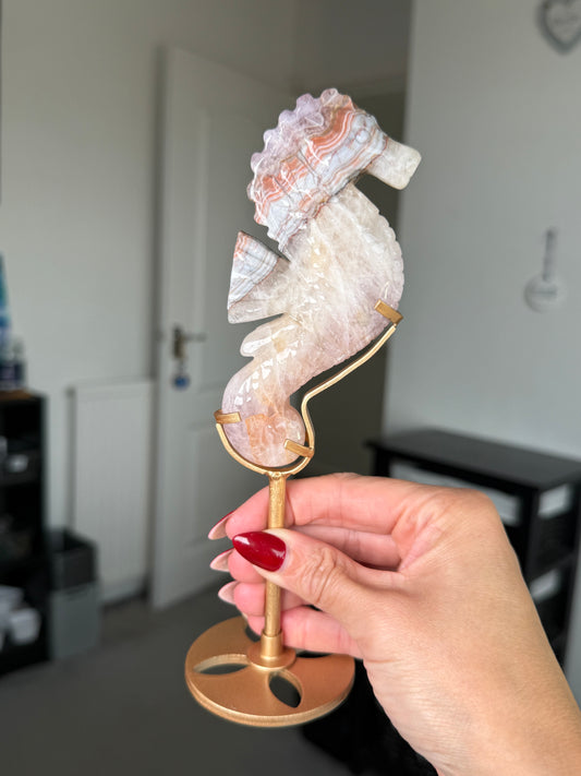 Amethyst Crazy Lace Agate Seahorse On Gold Stand