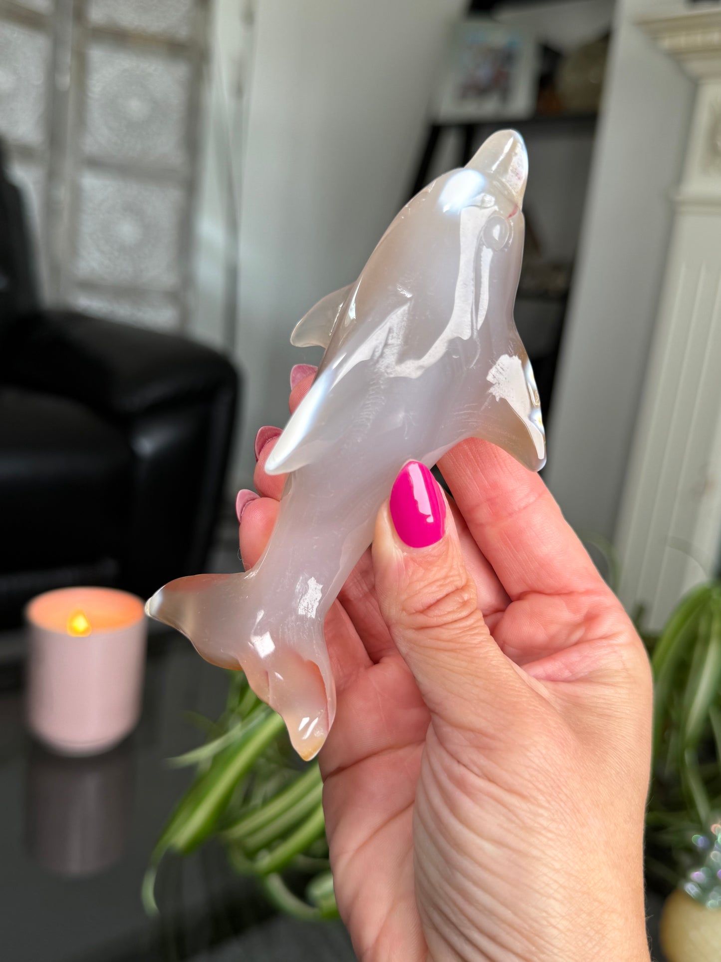 Agate Dolphin