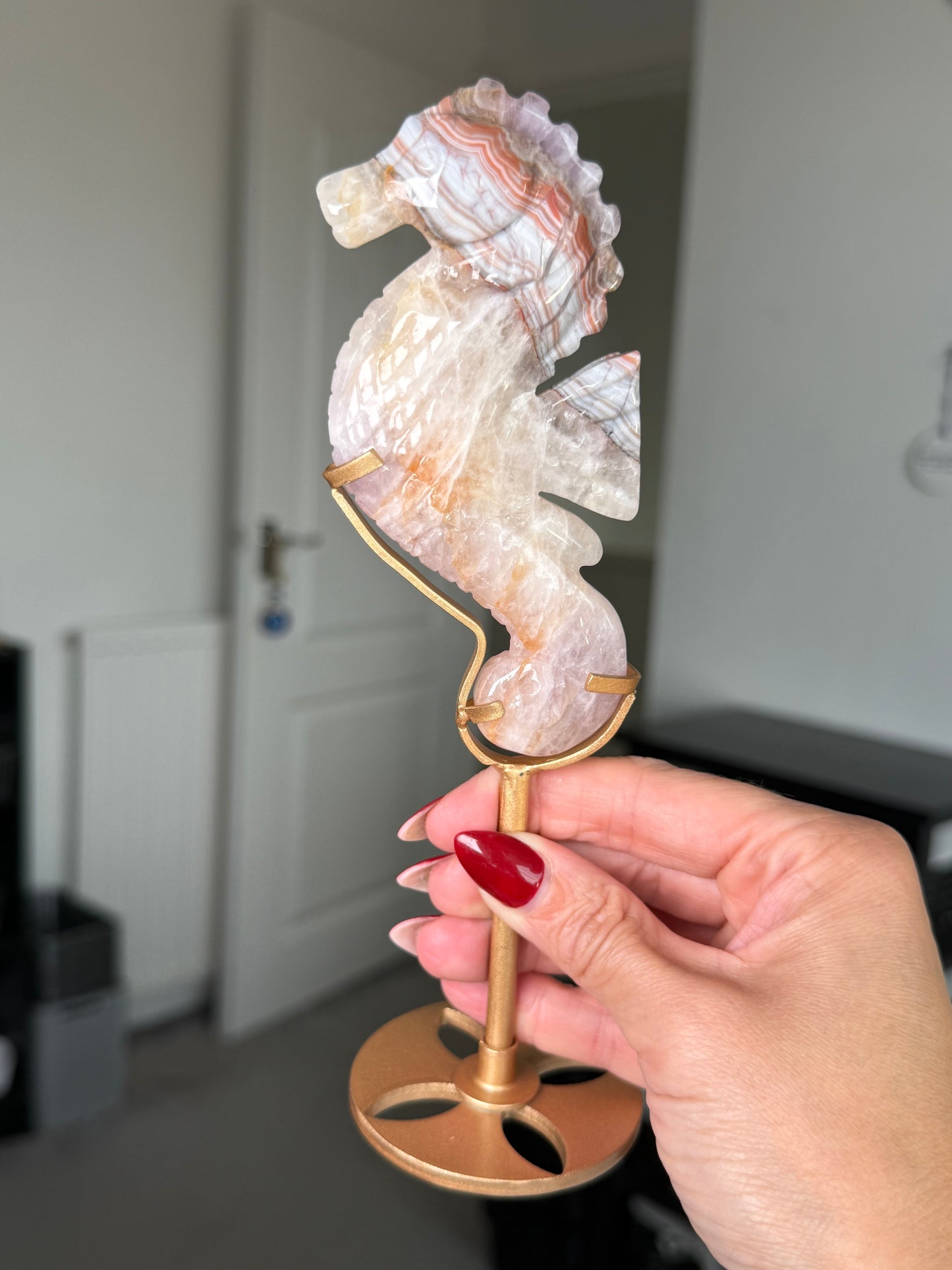 Amethyst Crazy Lace Agate Seahorse On Gold Stand