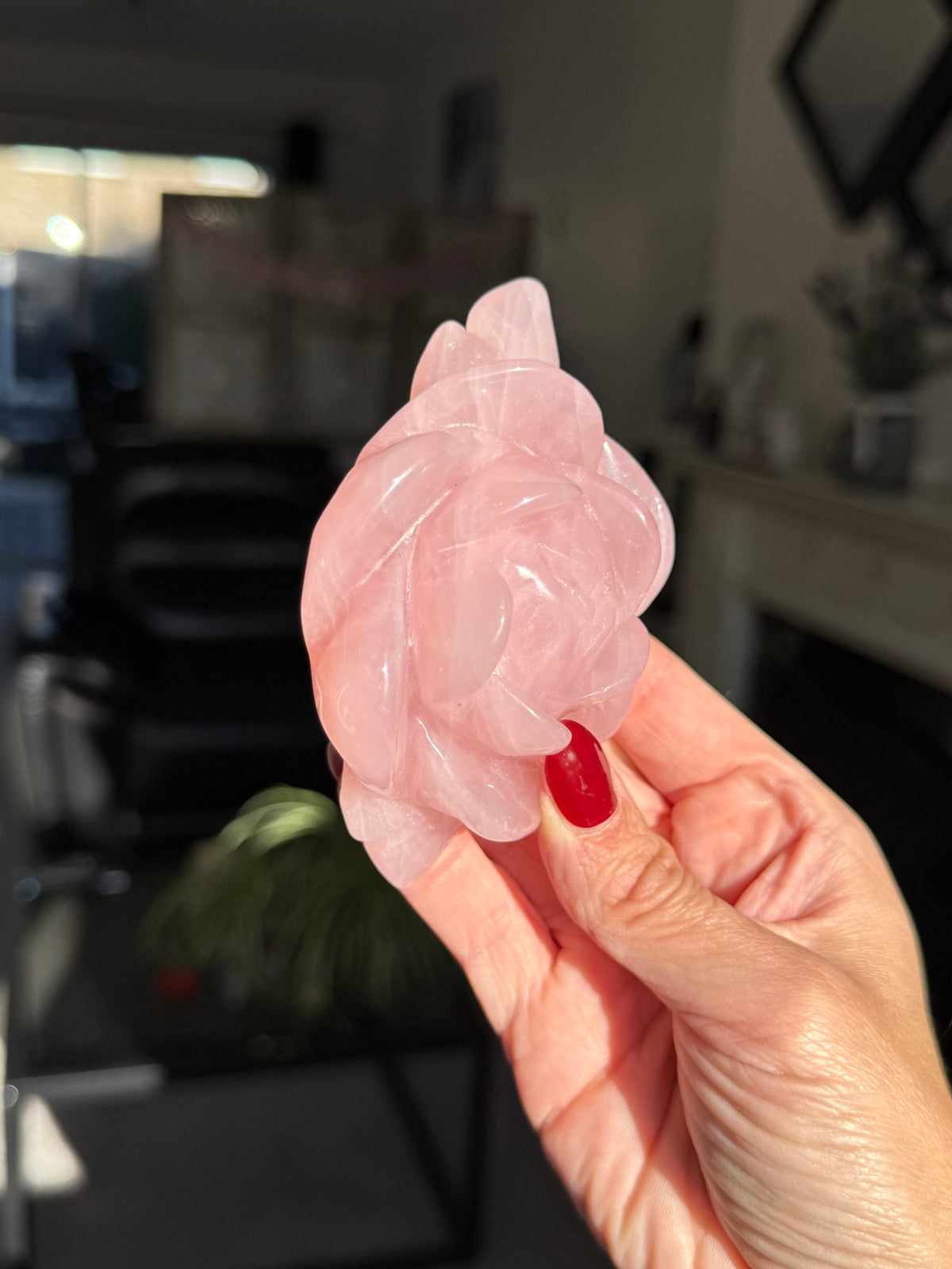Rose Quartz Rose