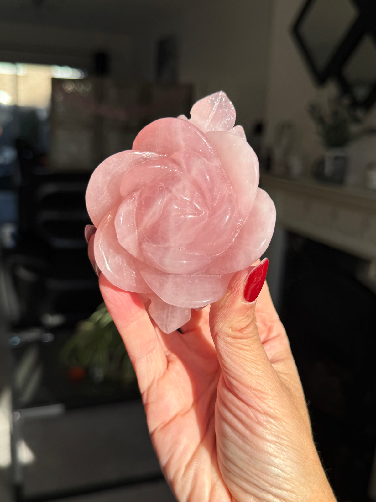 Rose Quartz Rose