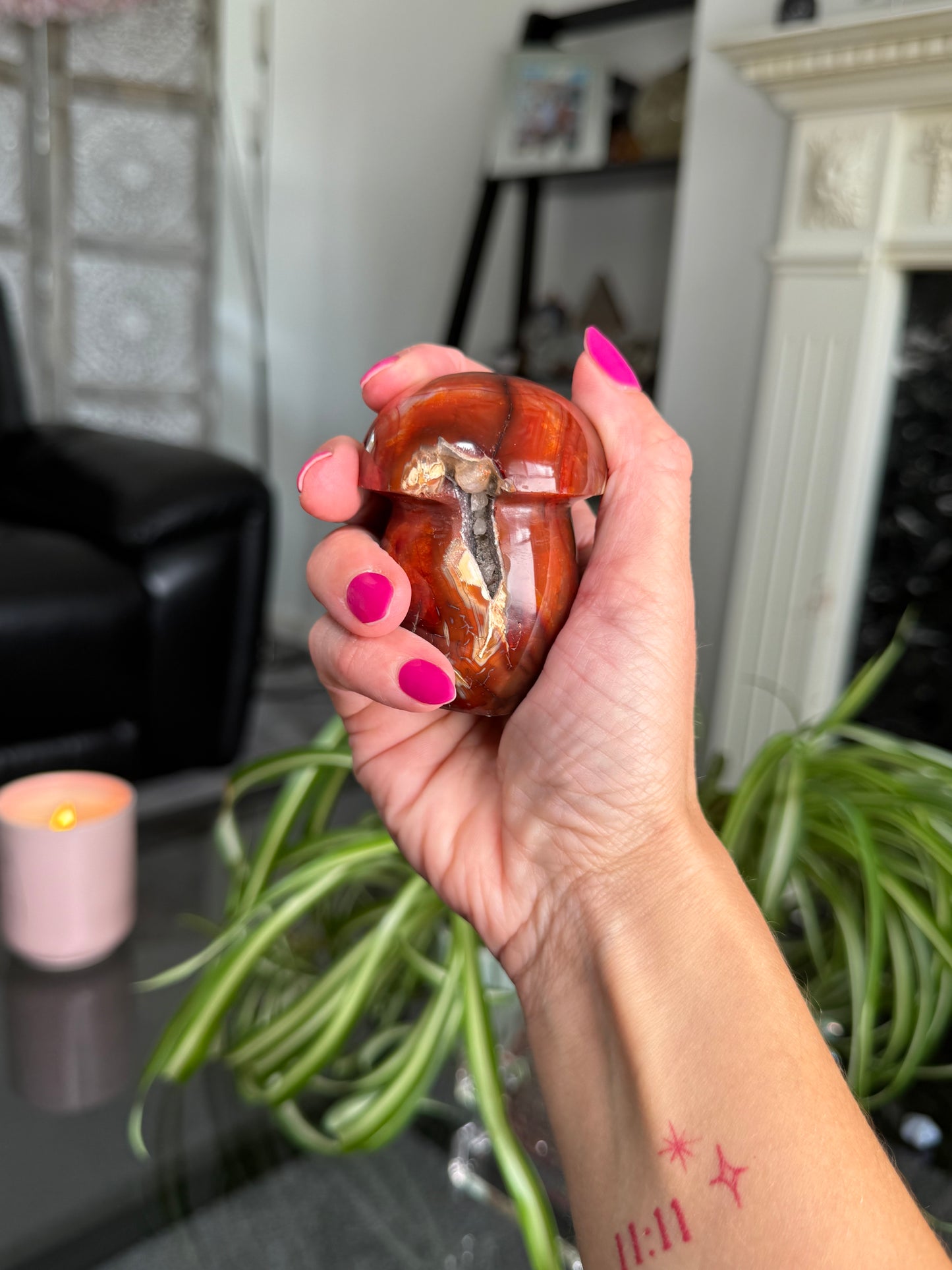 Carnelian Mushroom