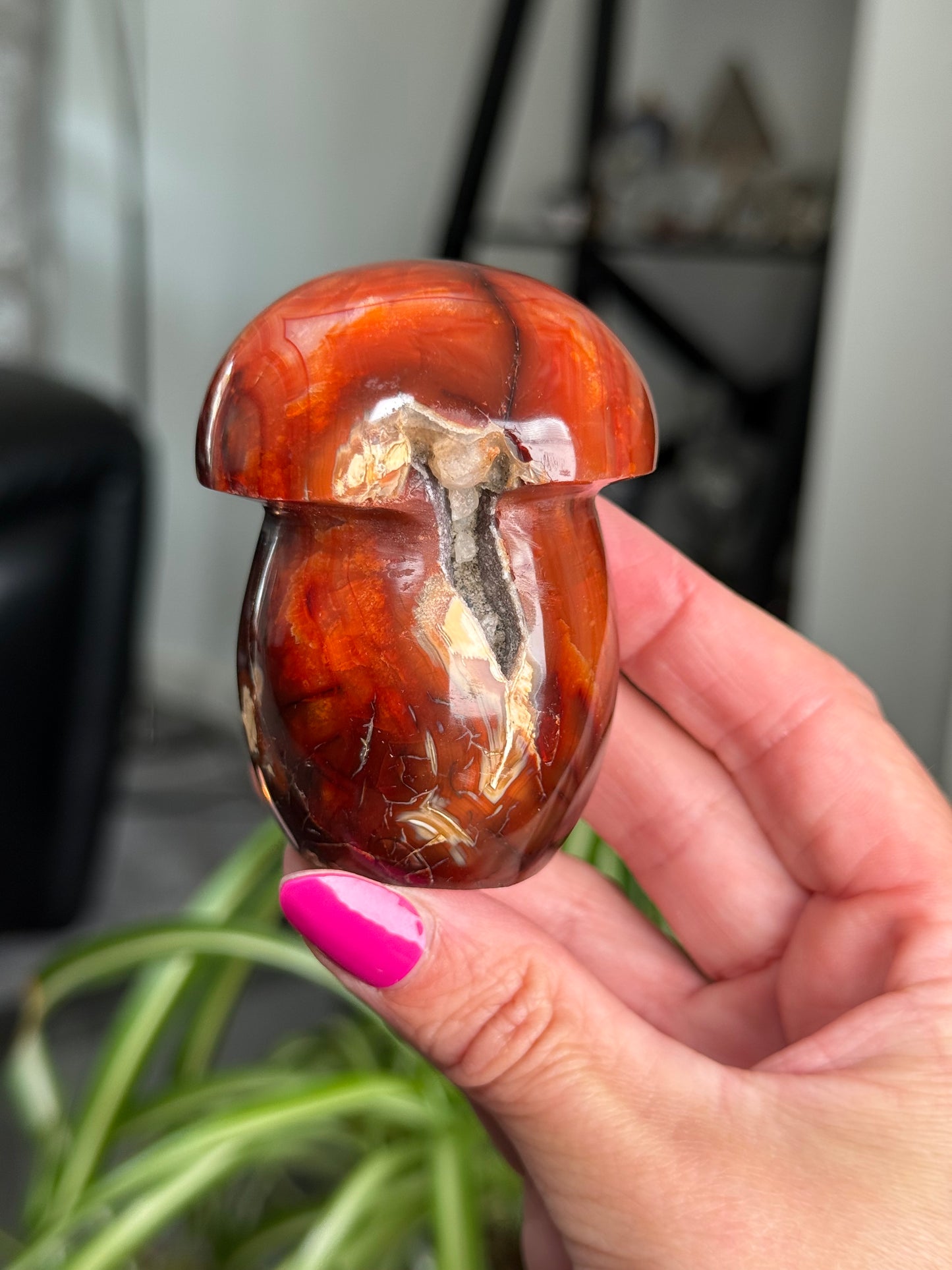Carnelian Mushroom