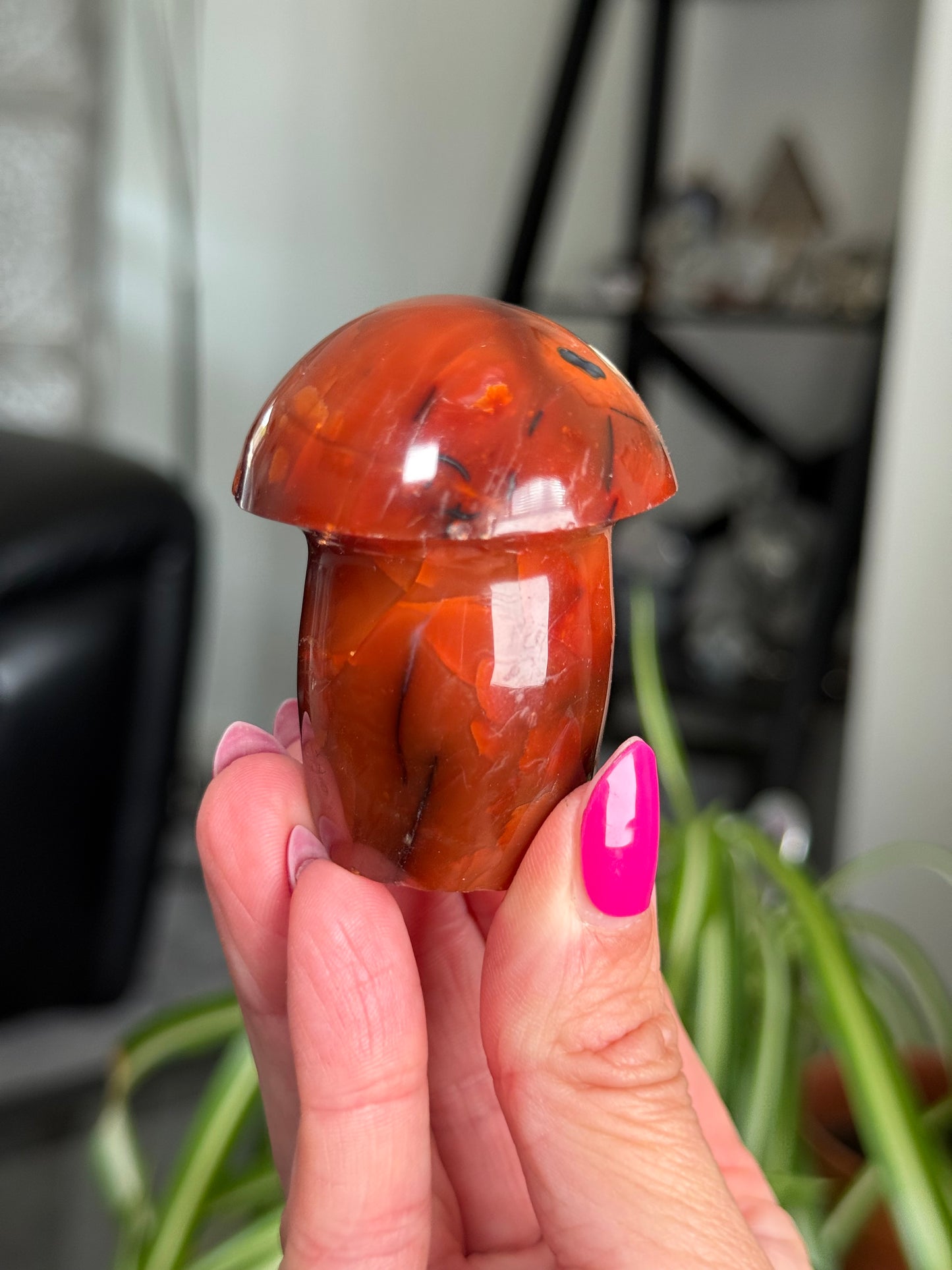 Carnelian Mushroom