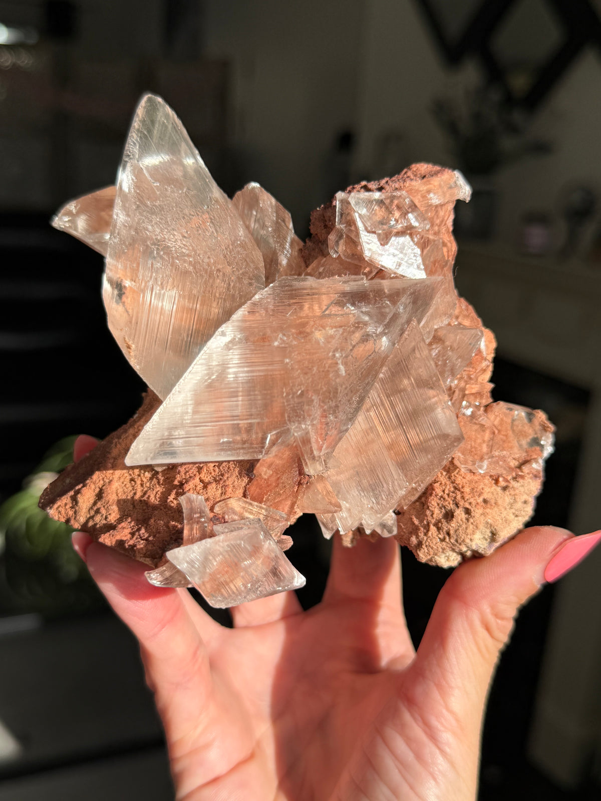 Self Standing Naica Selenite Collectors Piece