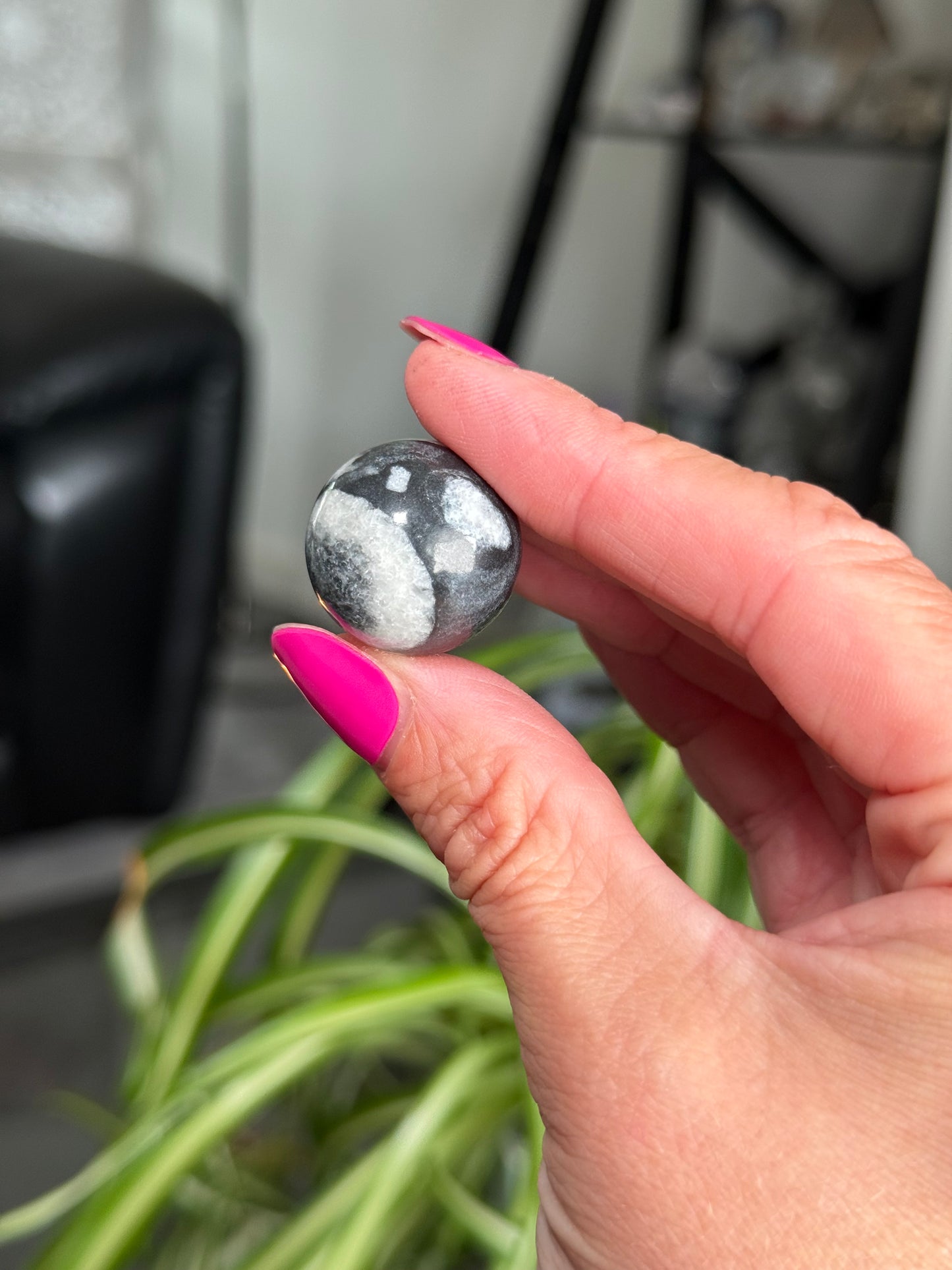 Mini Penguin Jasper Spheres