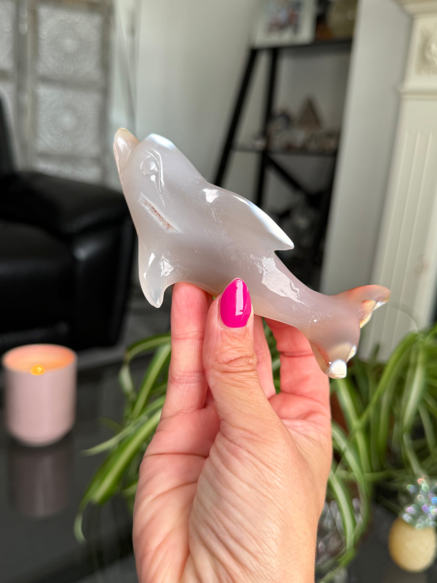 Agate Dolphin