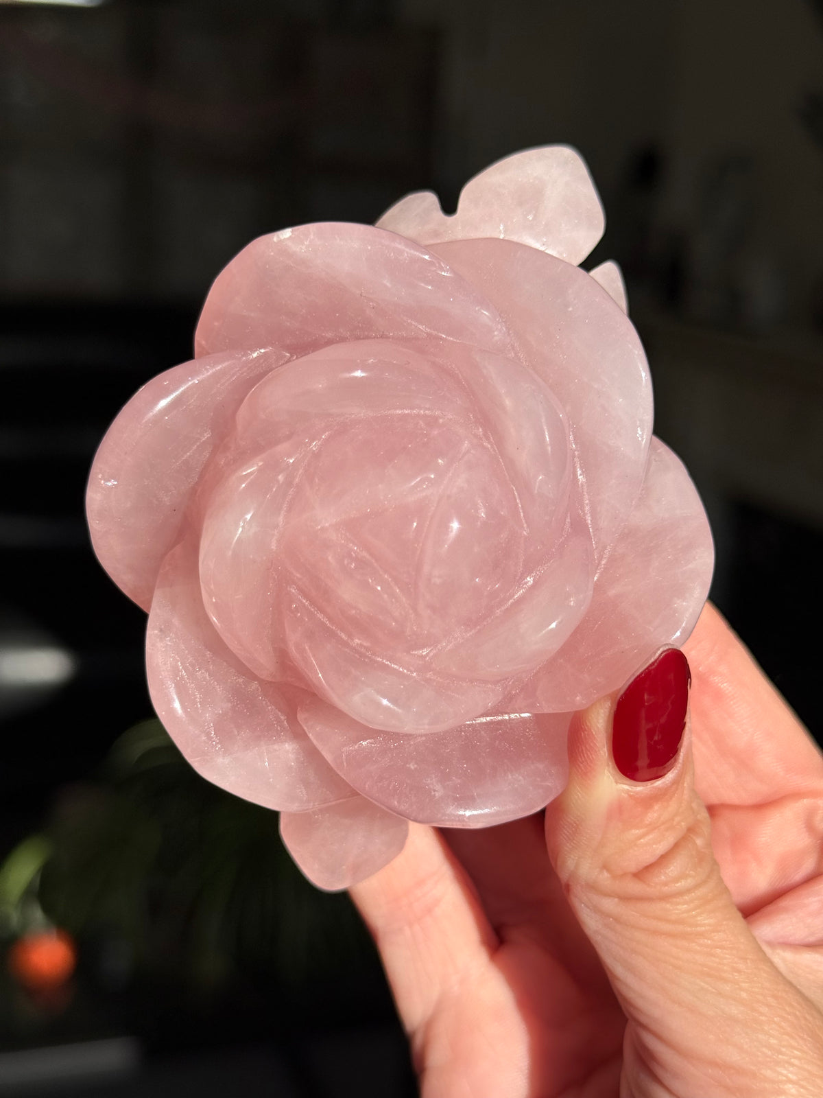 Rose Quartz Rose