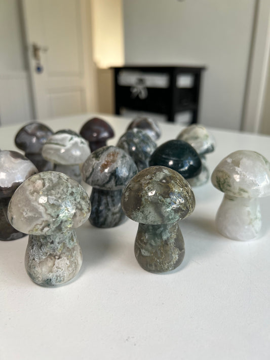 Moss Agate Mushrooms